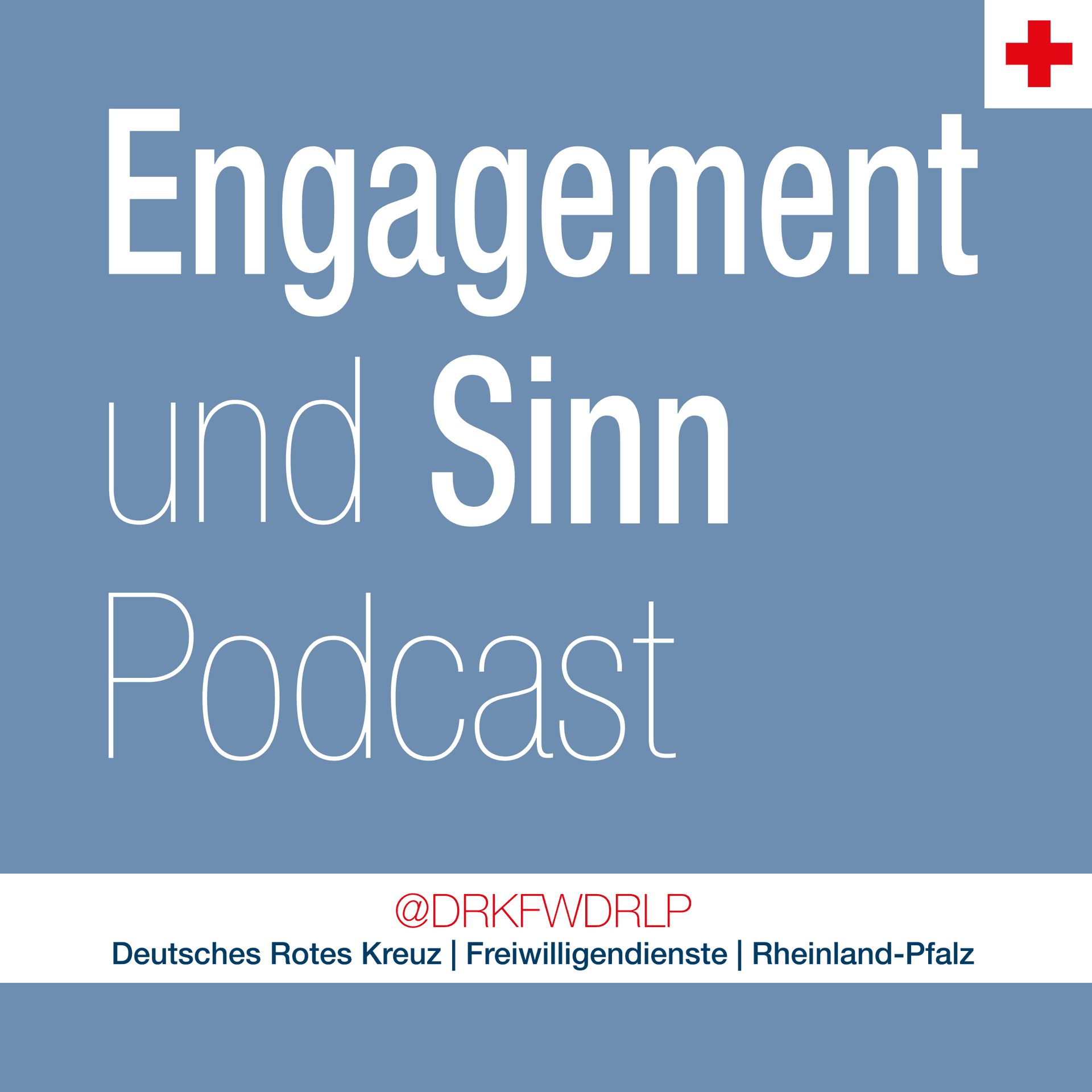 Engagement und Sinn Podcast - Podcasts