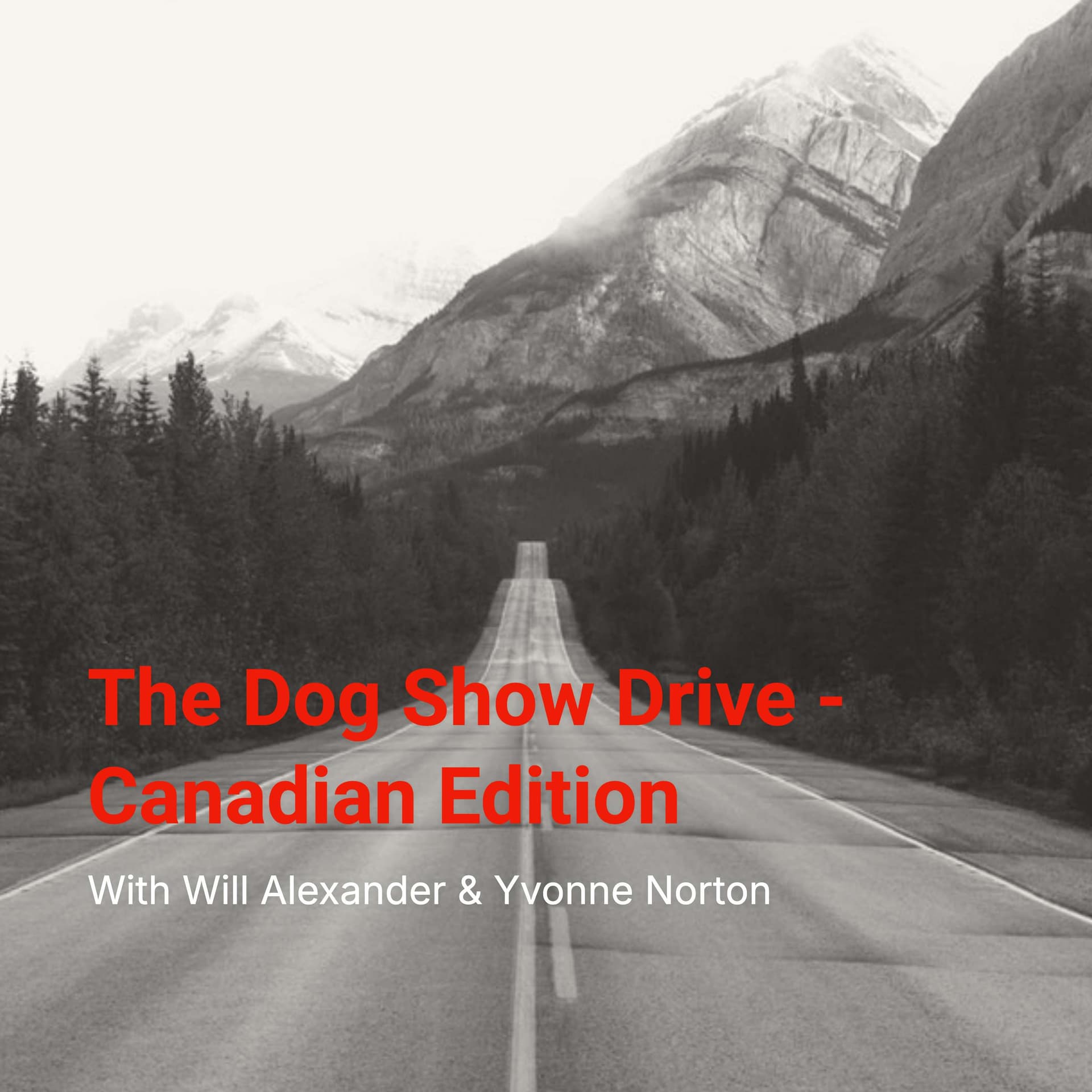 The Dog Show Drive