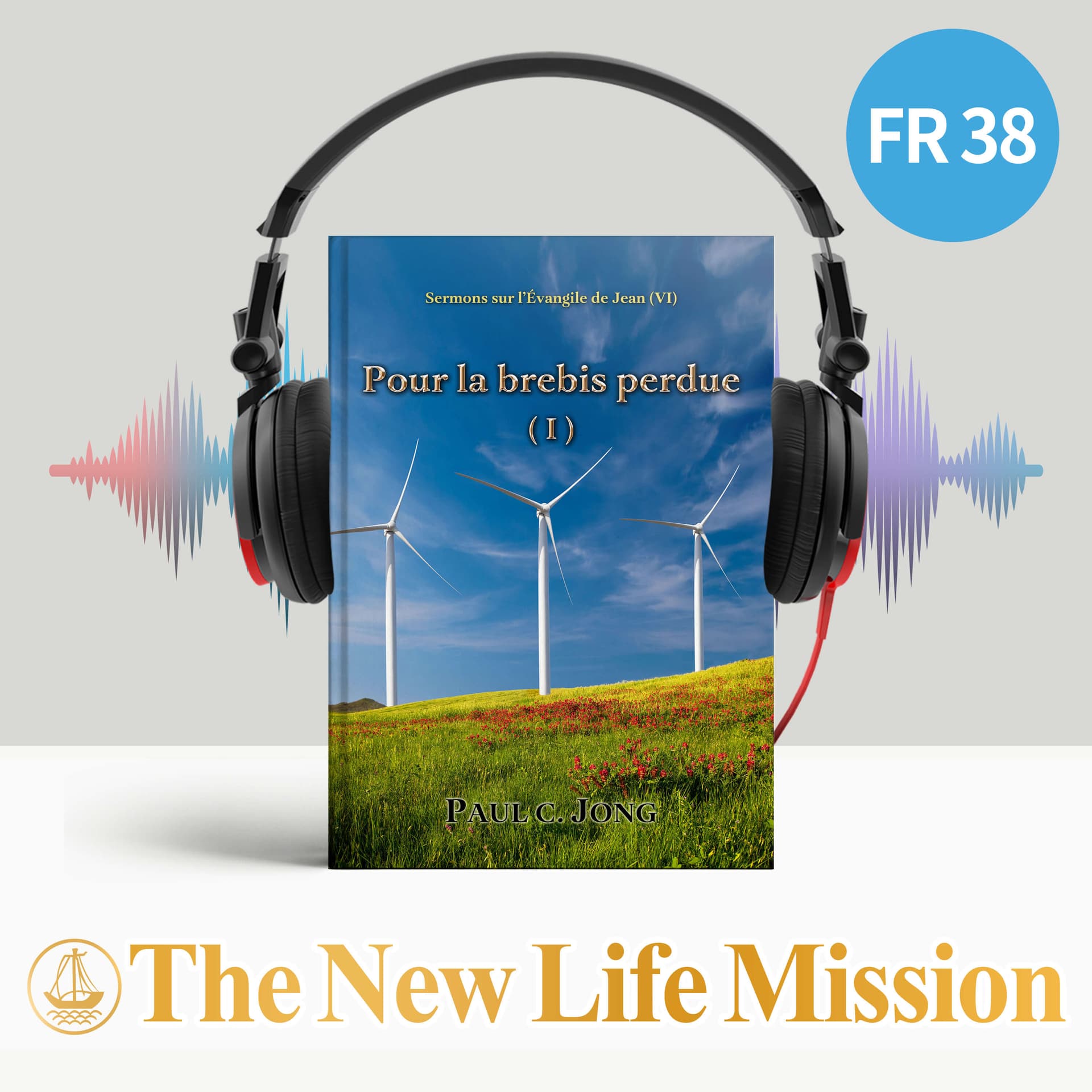 Sermons sur l’Évangile de Jean (Ⅵ) - Pour la brebis perdue (Ⅰ) - Podcasts