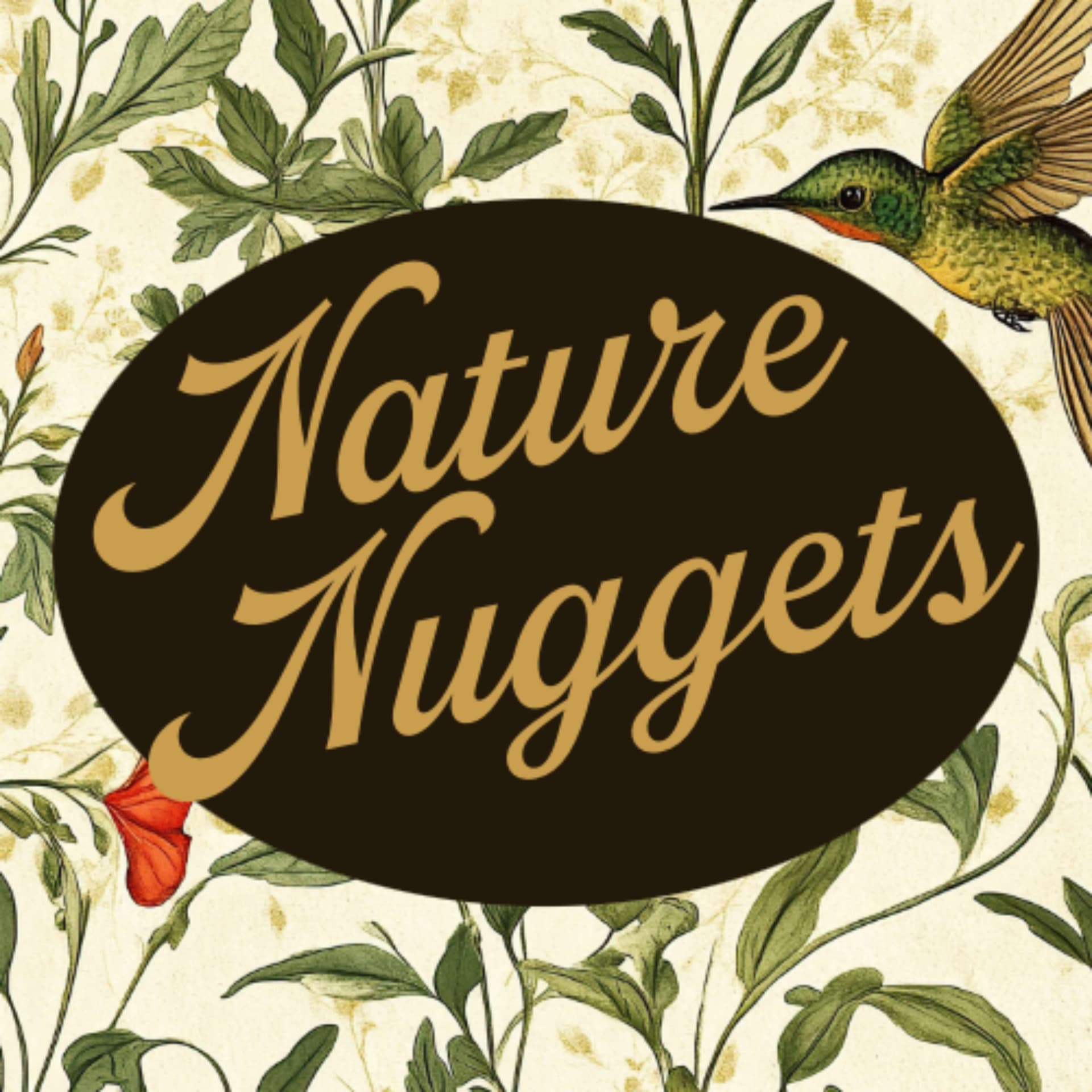 Nature Nuggets - Podcasts
