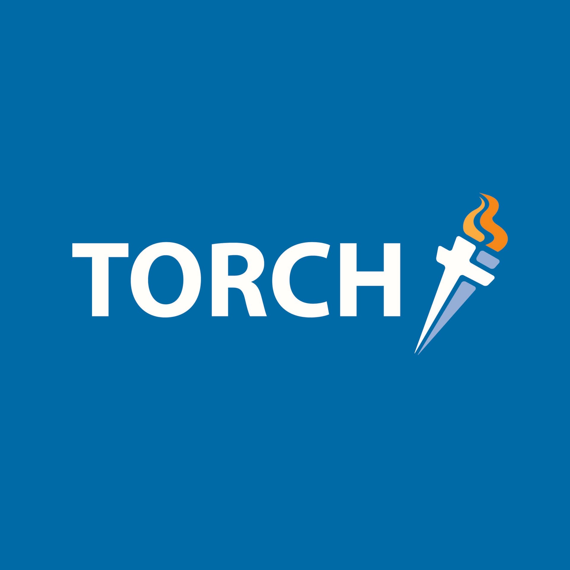 Reflections from Torch Trust - Podcasts