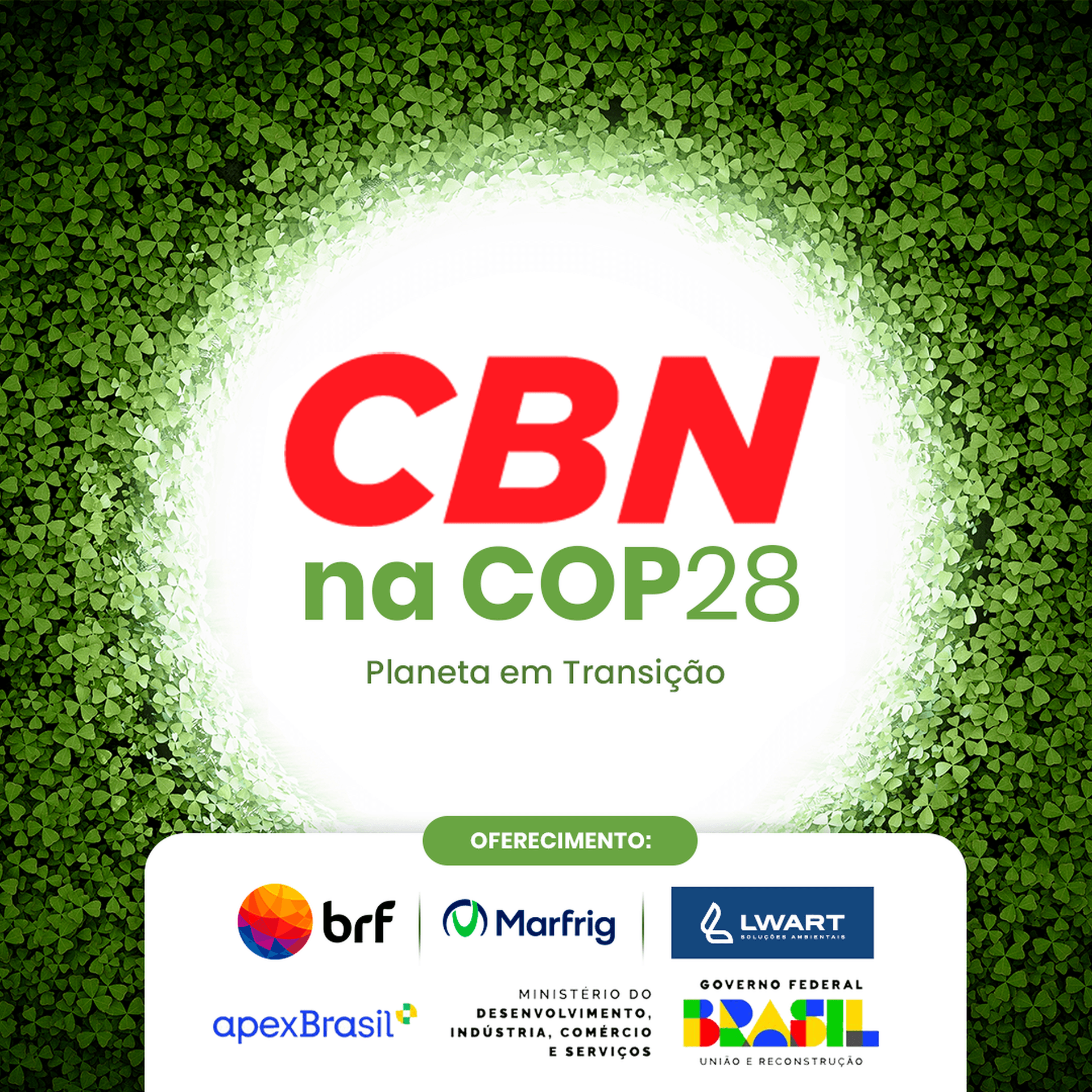 CBN na COP28 - Podcasts