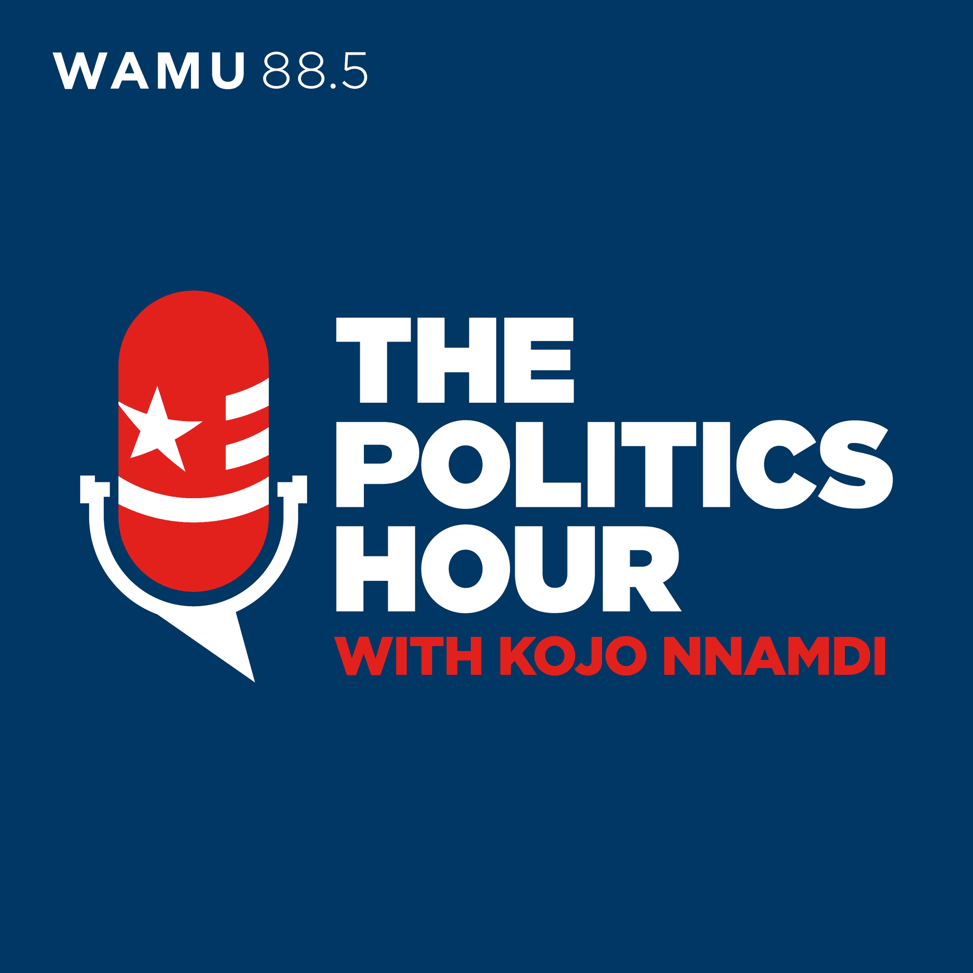 The Politics Hour with Kojo Nnamdi - Podcasts