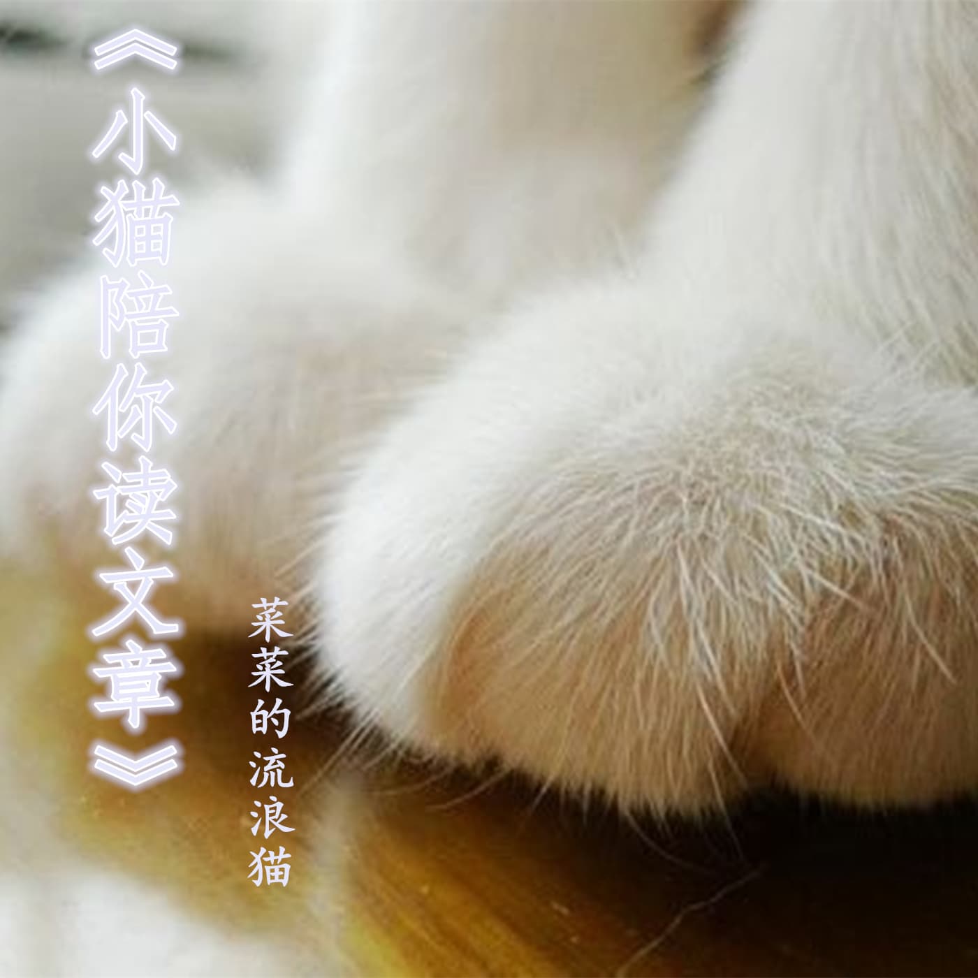 小猫陪你读文章 - Podcasts