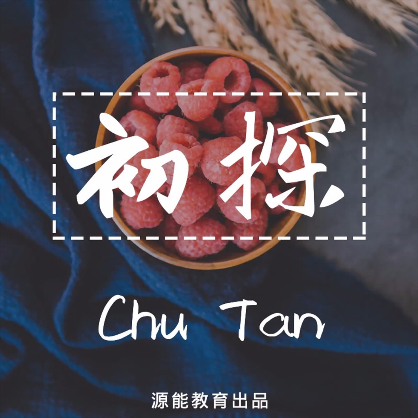 初探 | 全球好书听不完 - 播客