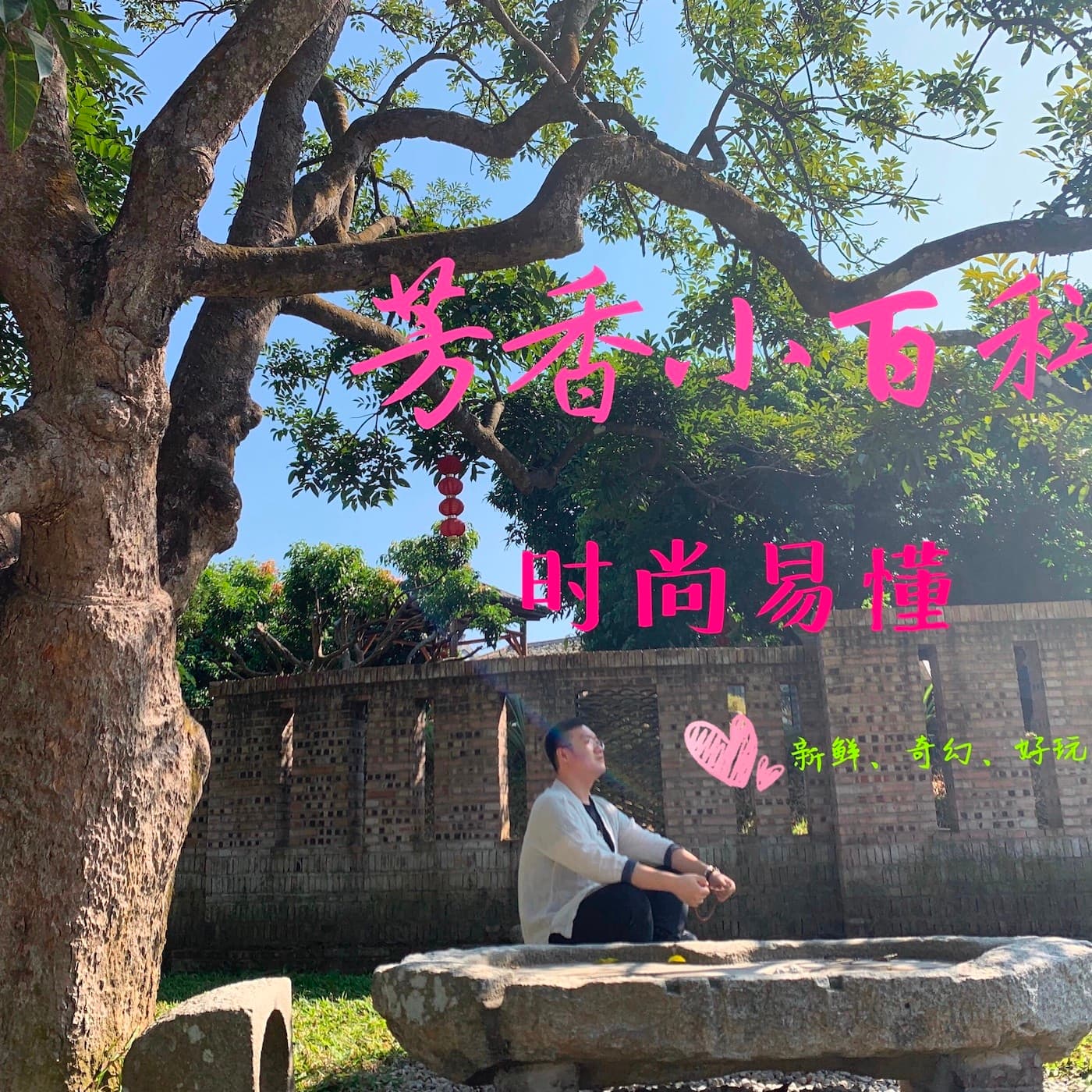 精致生活|芳香疗法时尚百科 - 播客