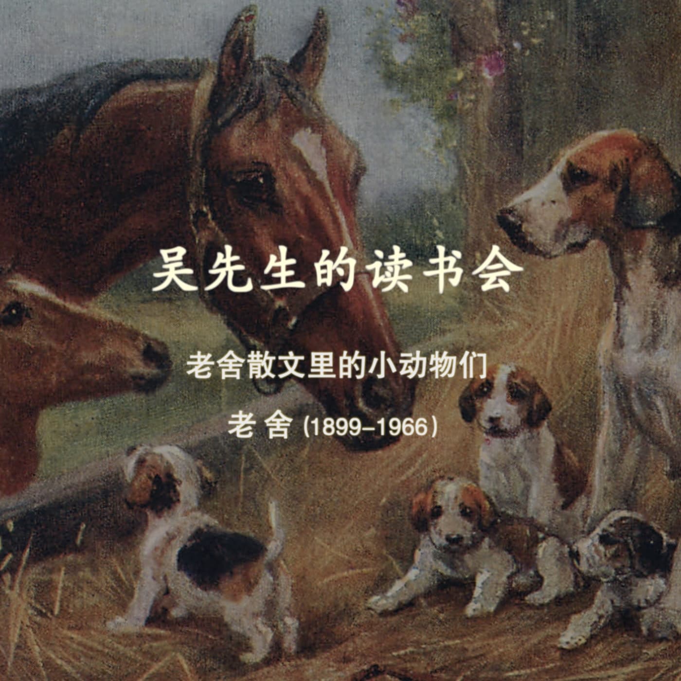 为你读书:老舍散文里的小动物们 - Podcasts