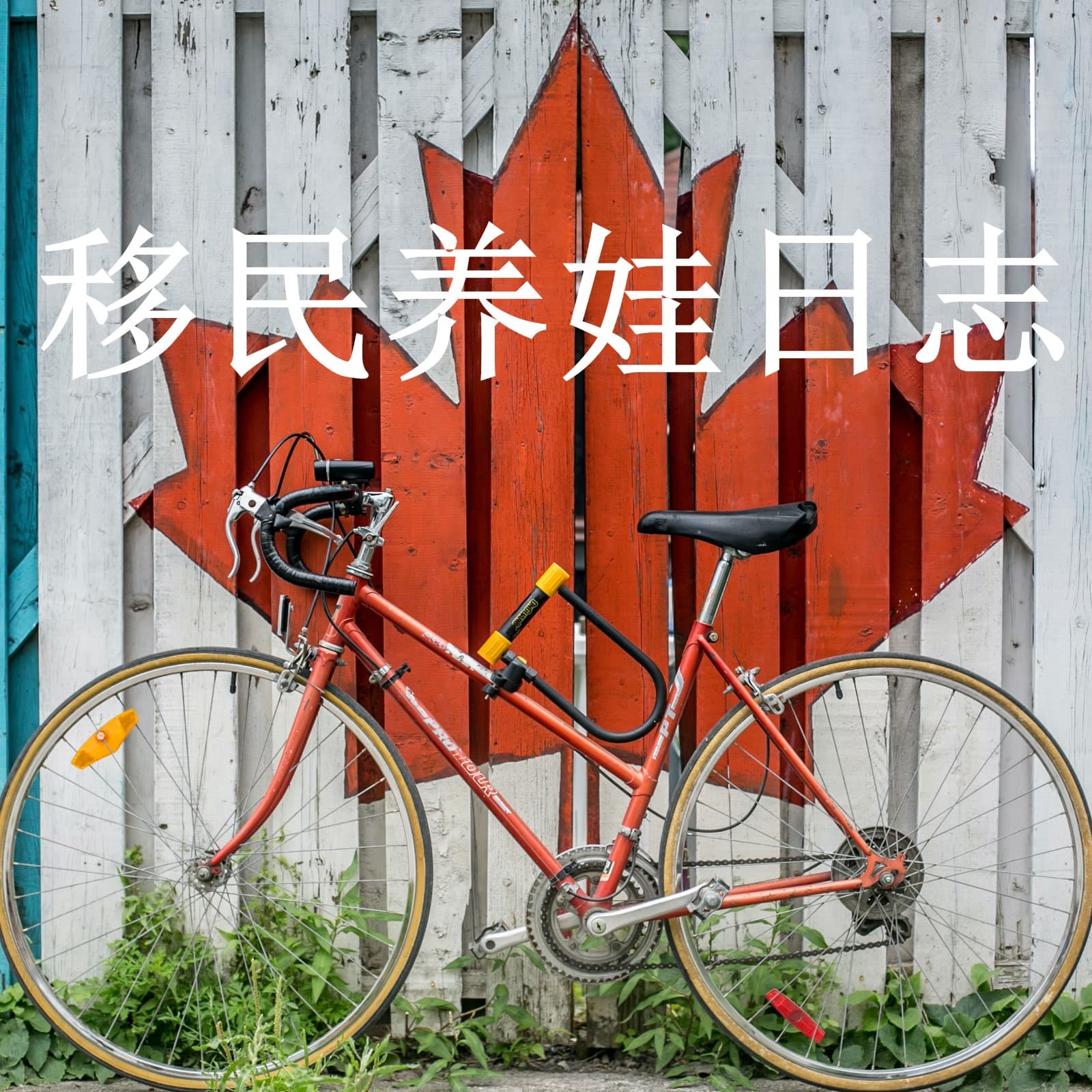 加拿大移民养娃日志 - 播客