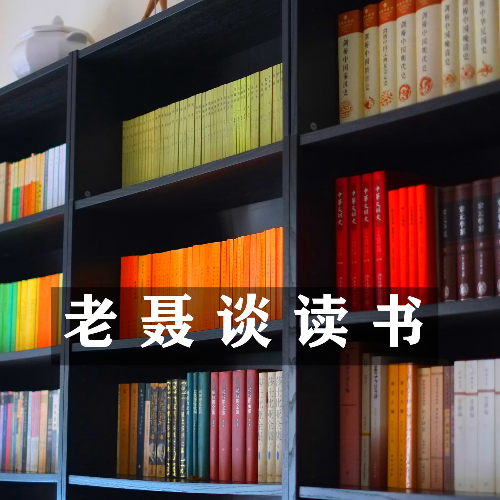 老聂读书 | 我的语文课(大学语文) - Podcasts