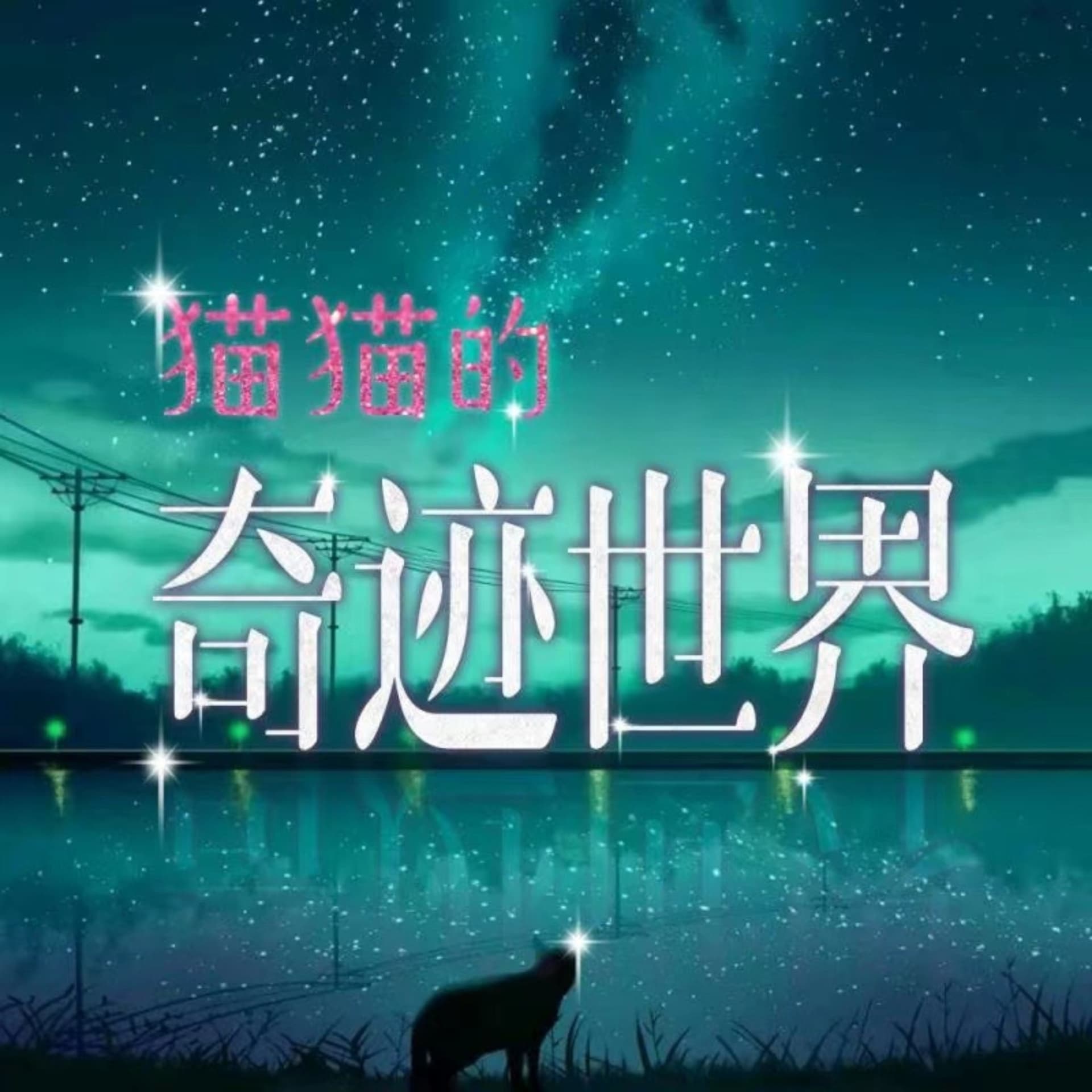 猫猫的奇迹世界|看鸡毛蒜皮|笑谈人生百态|原创播客 - 播客