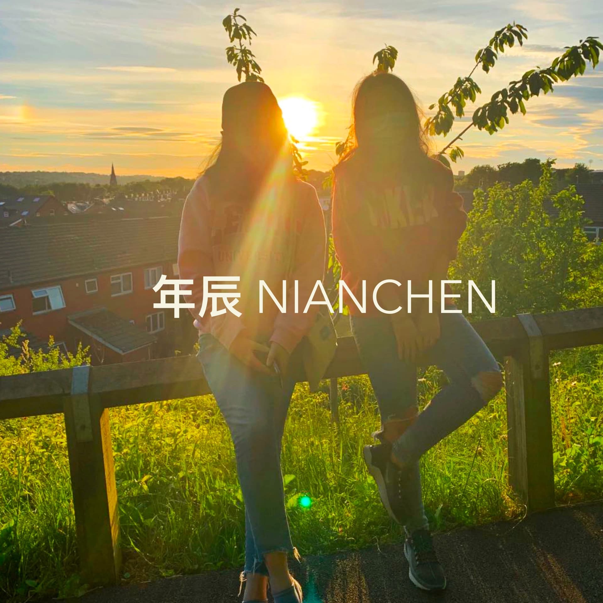 NianChen年辰对谈 - Podcasts