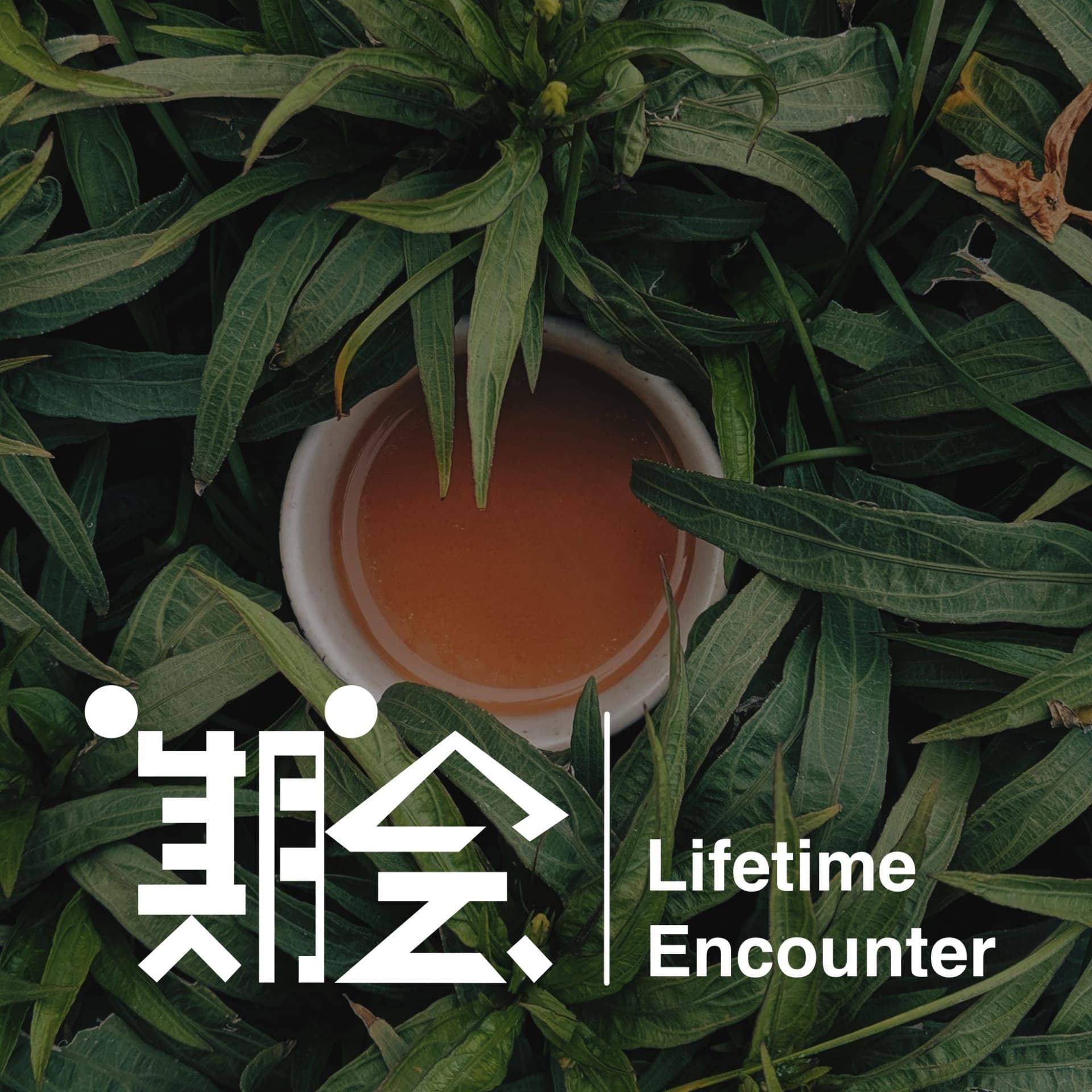 一期一会 Lifetime Encounter - Podcasts