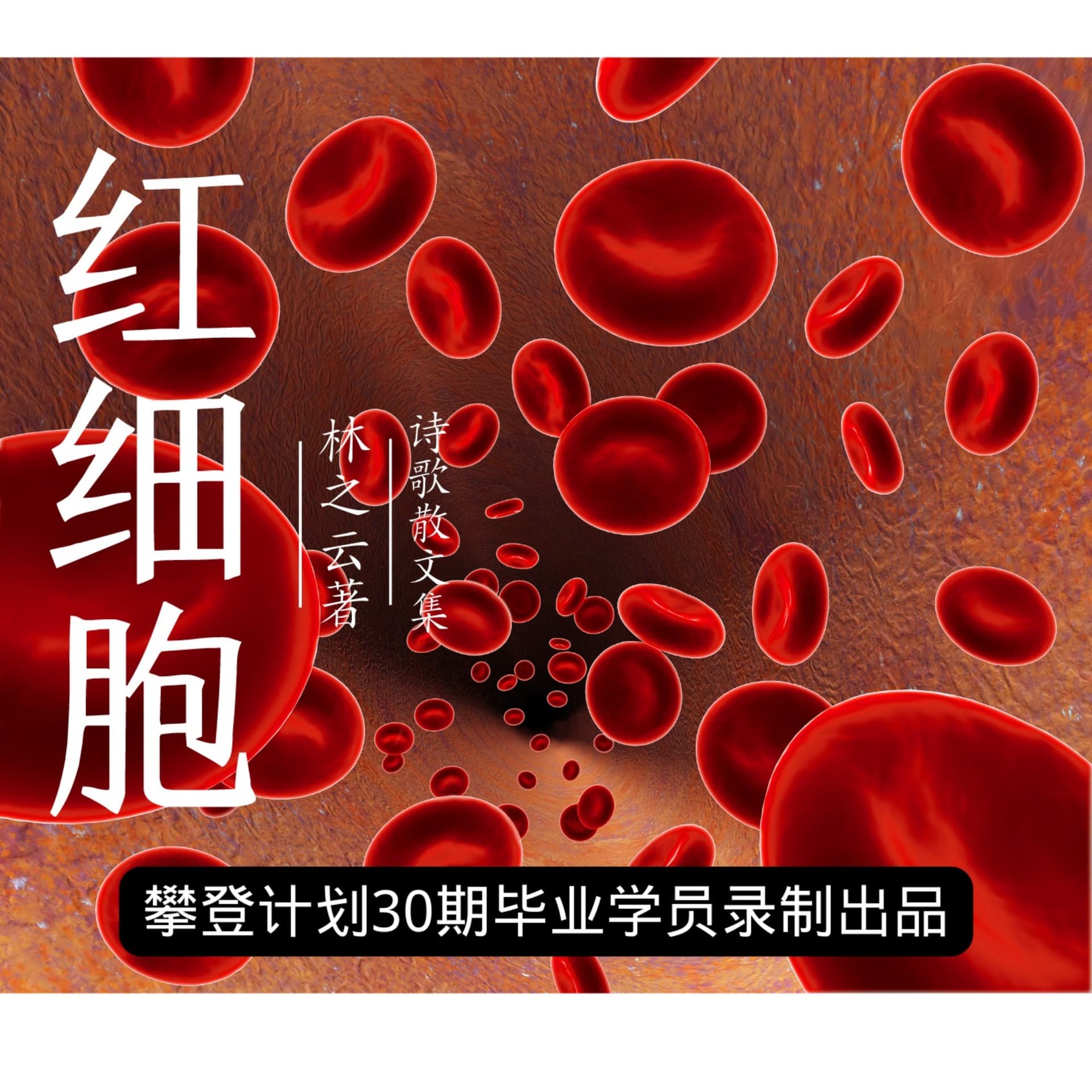美文赏读|现代散文集《红细胞》 - Podcasts