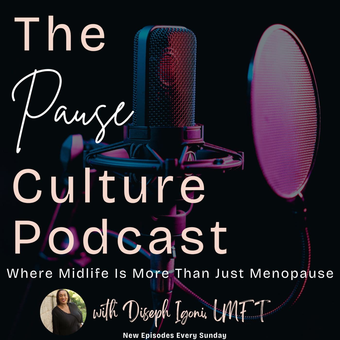 The Pause Culture Podcast - Podcasts