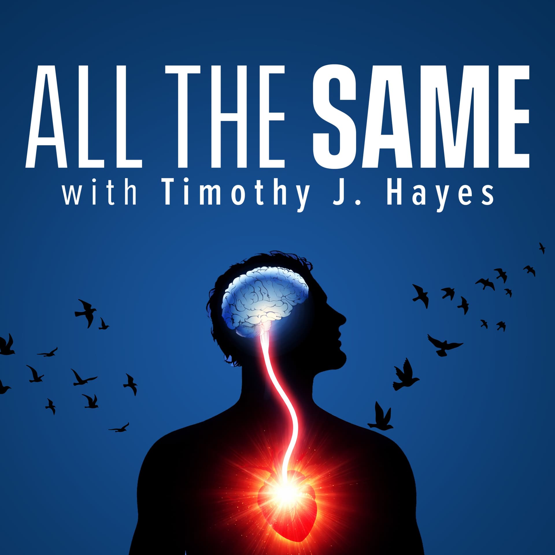 All The Same - Podcasts