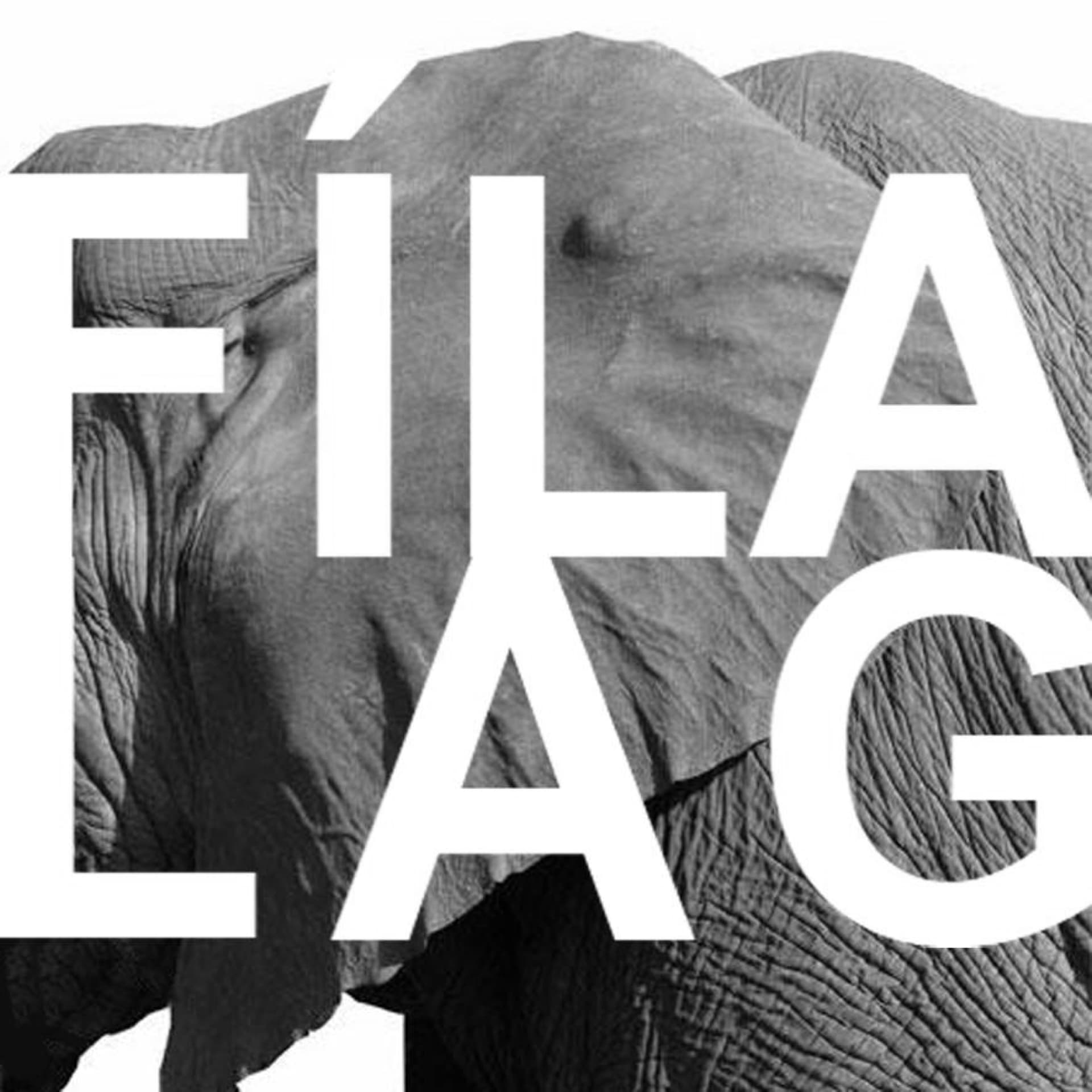 Fílalag - Podcasts