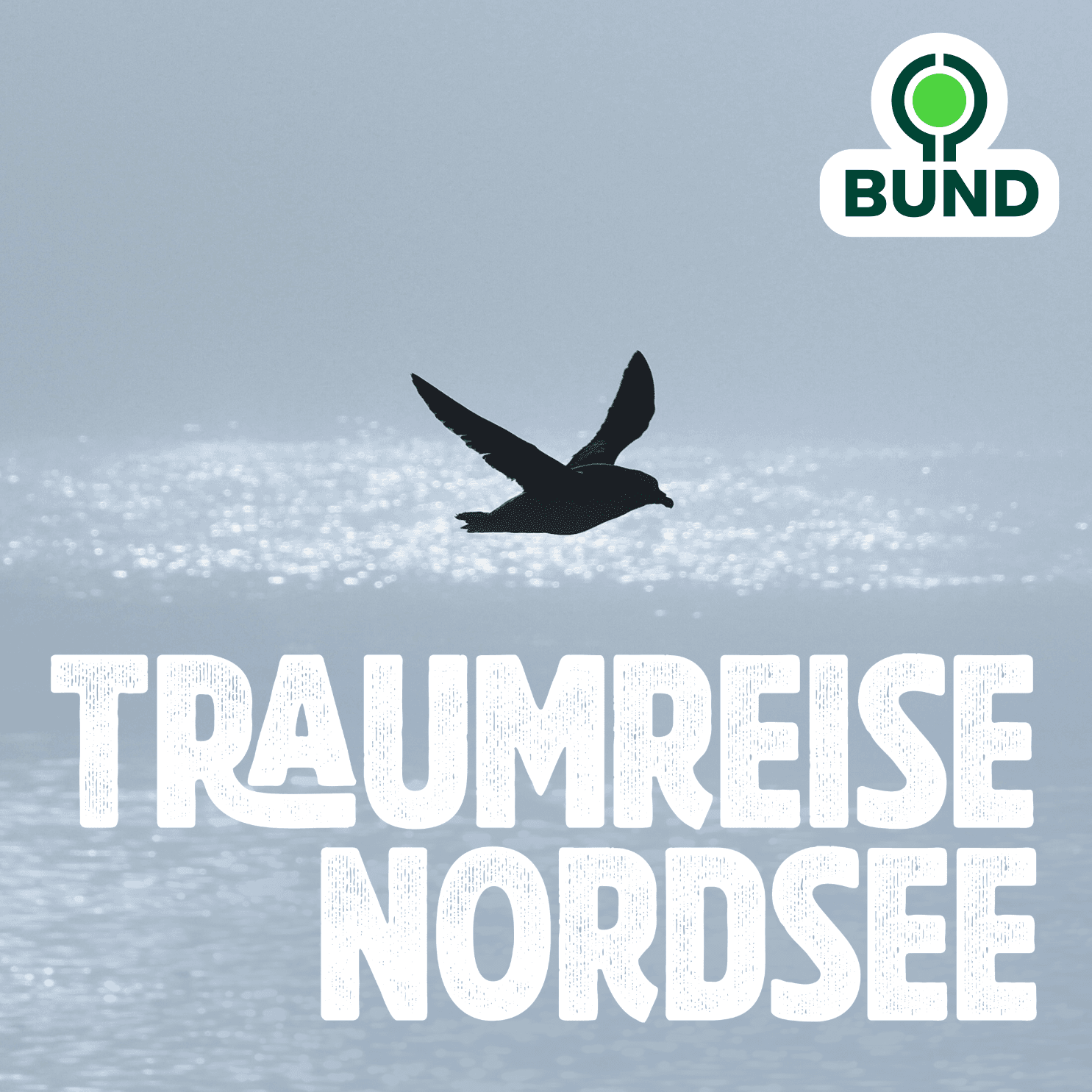 Eingetaucht in die Vielfalt der Nordsee - Podcasts