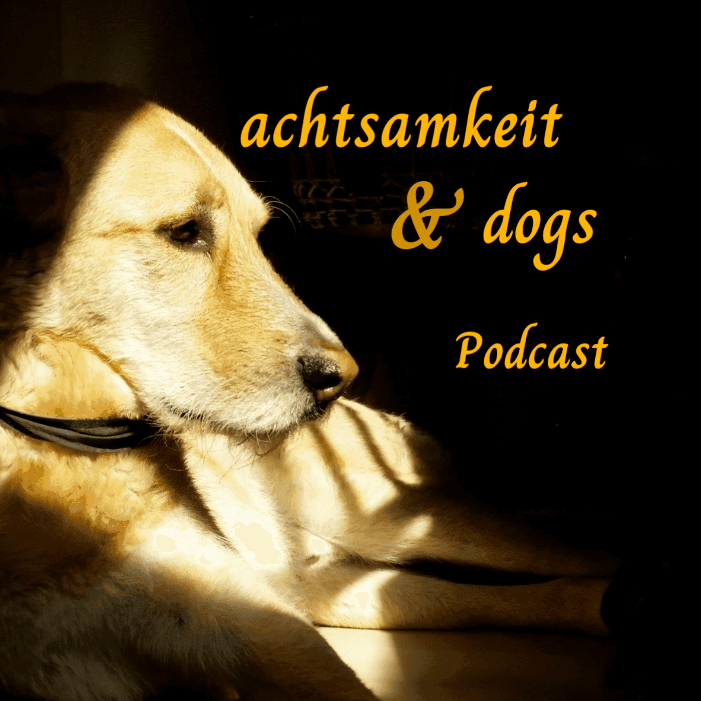 achtsamkeit & dogs - Podcasts