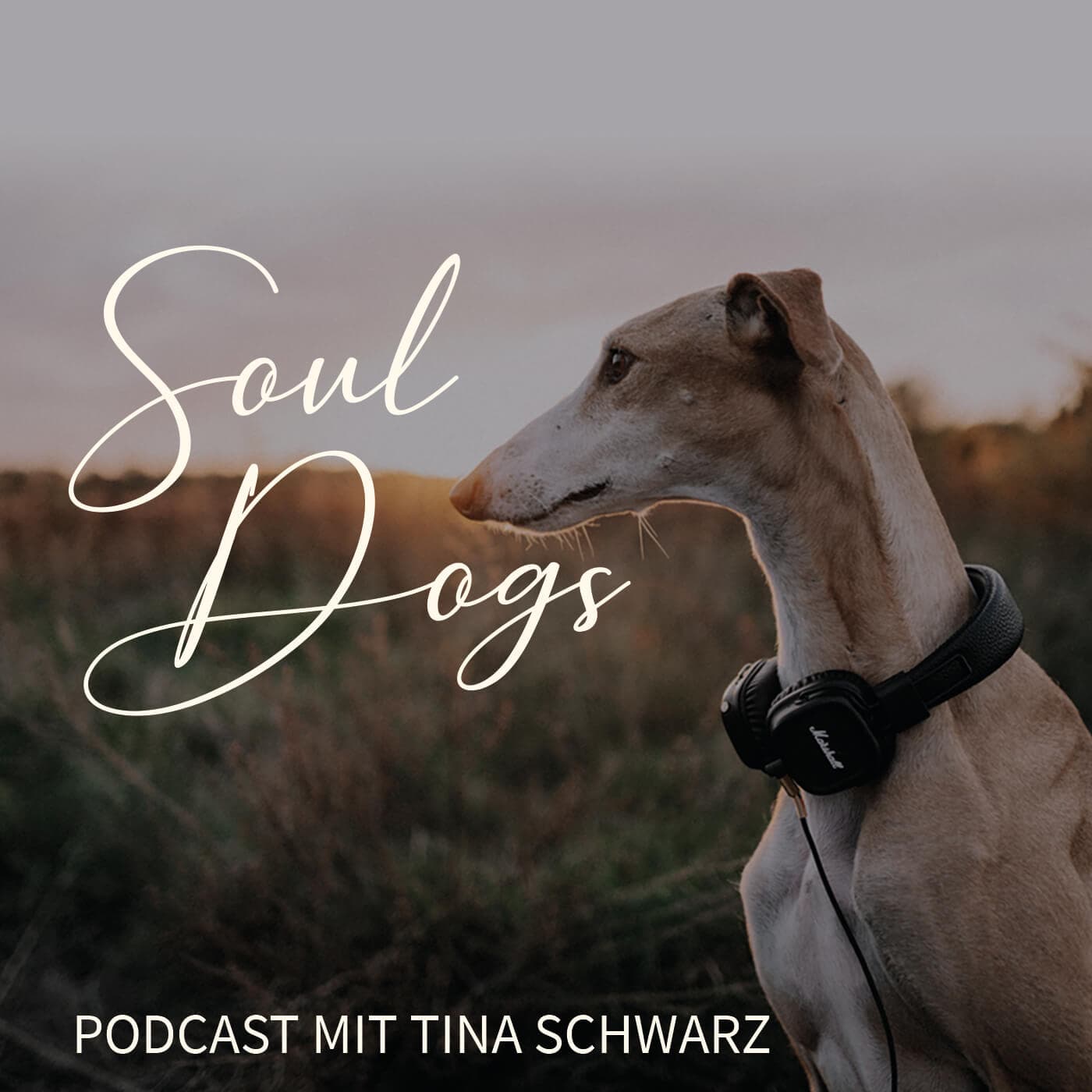 SoulDogs Dein Podcast für Herz & Hund - Podcasts
