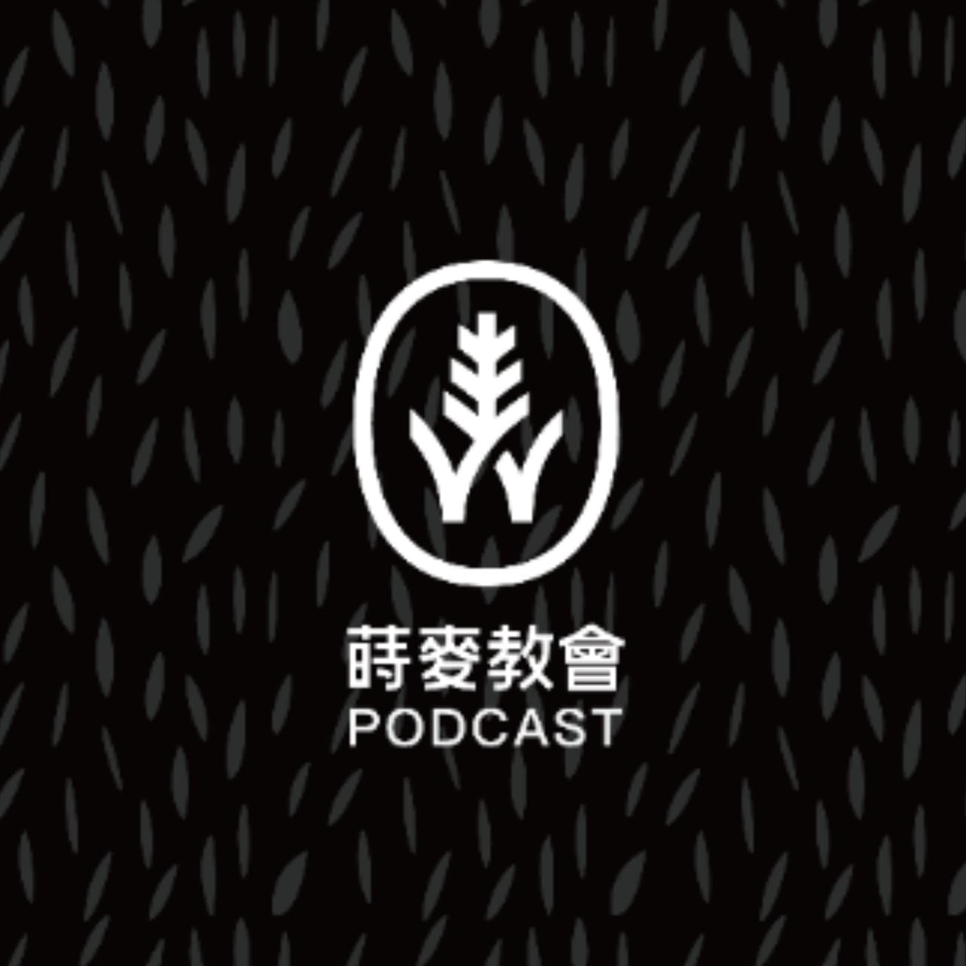 蒔麥教會 - 播客