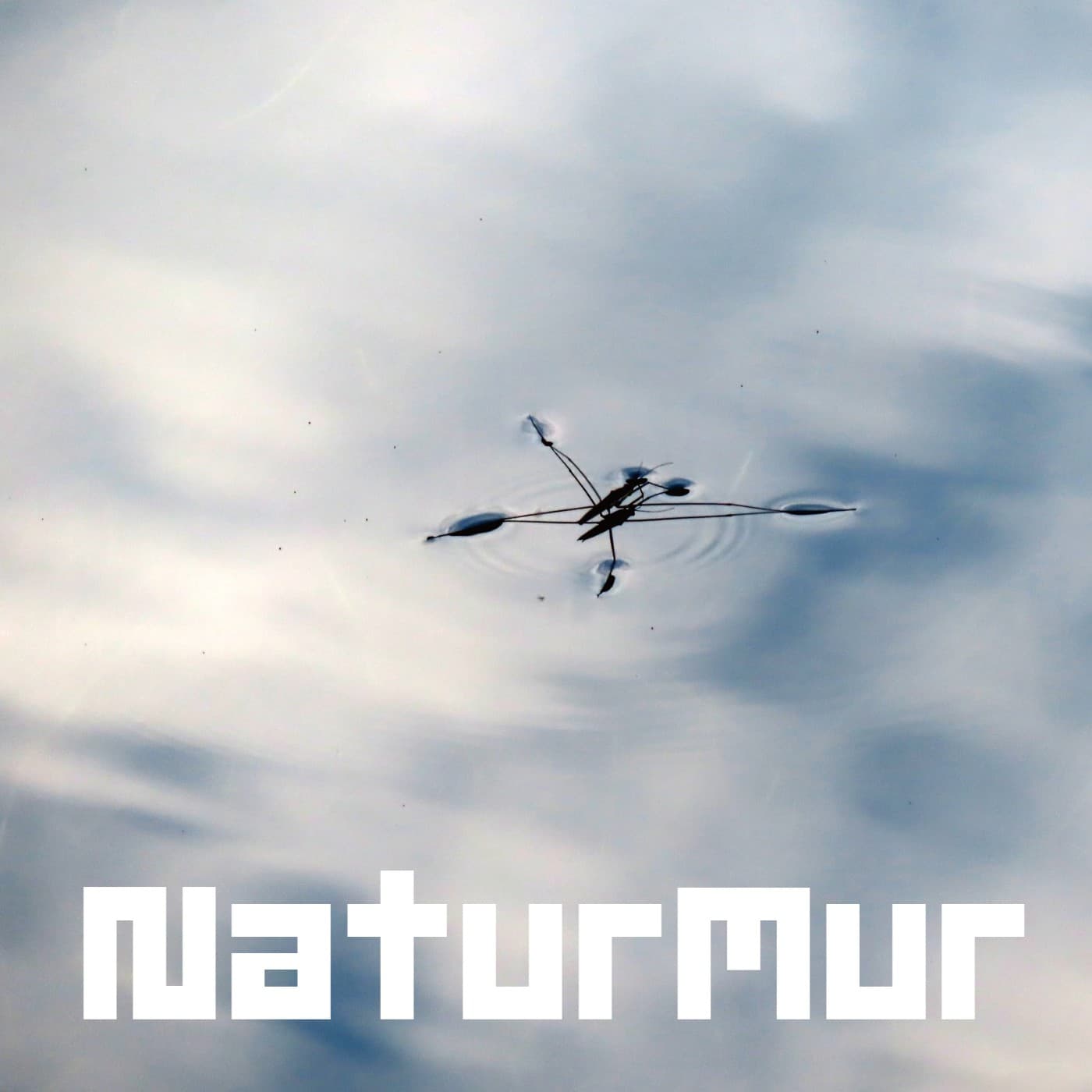 萬物的呢喃 NaturMur - Podcasts