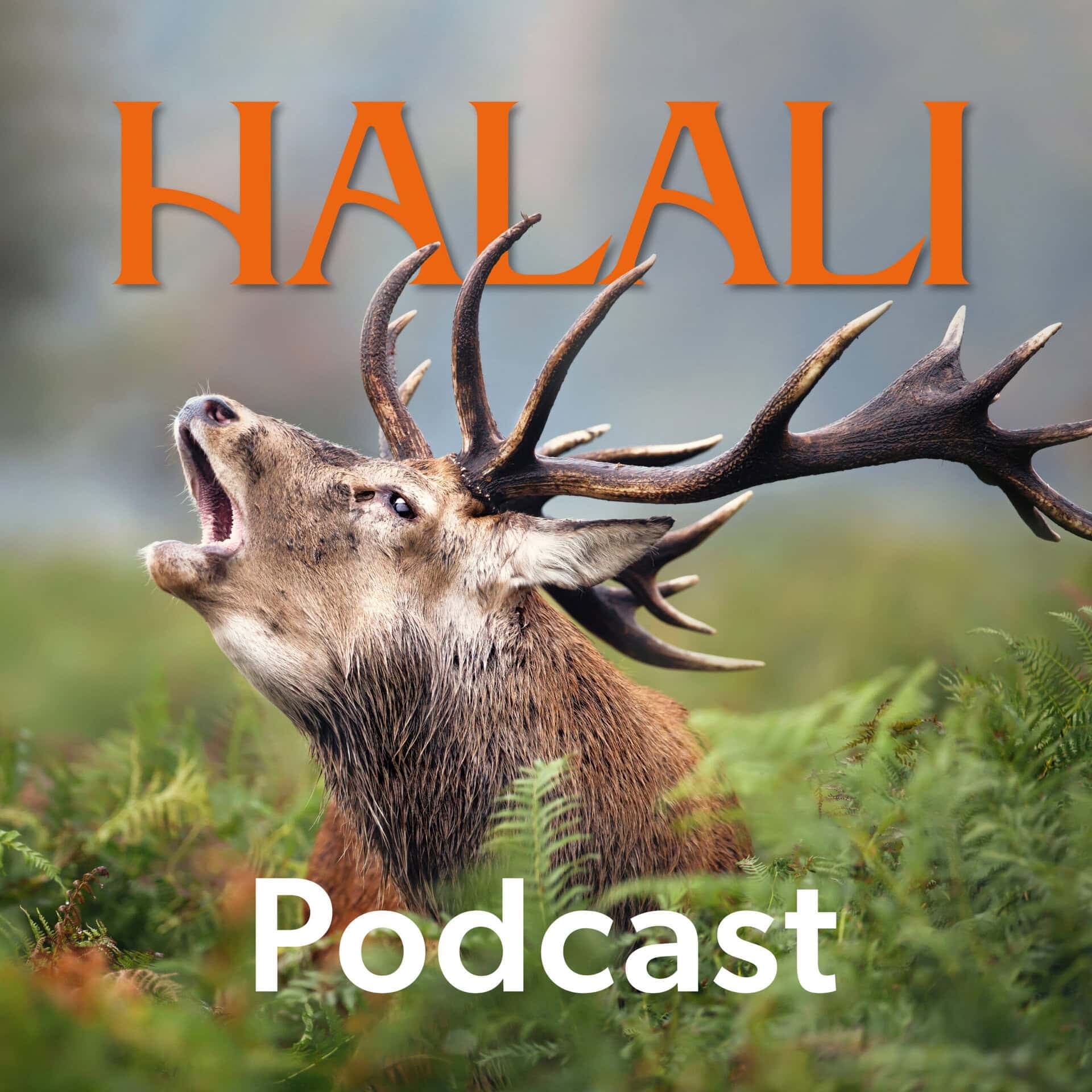 HALALI Podcast - Podcasts