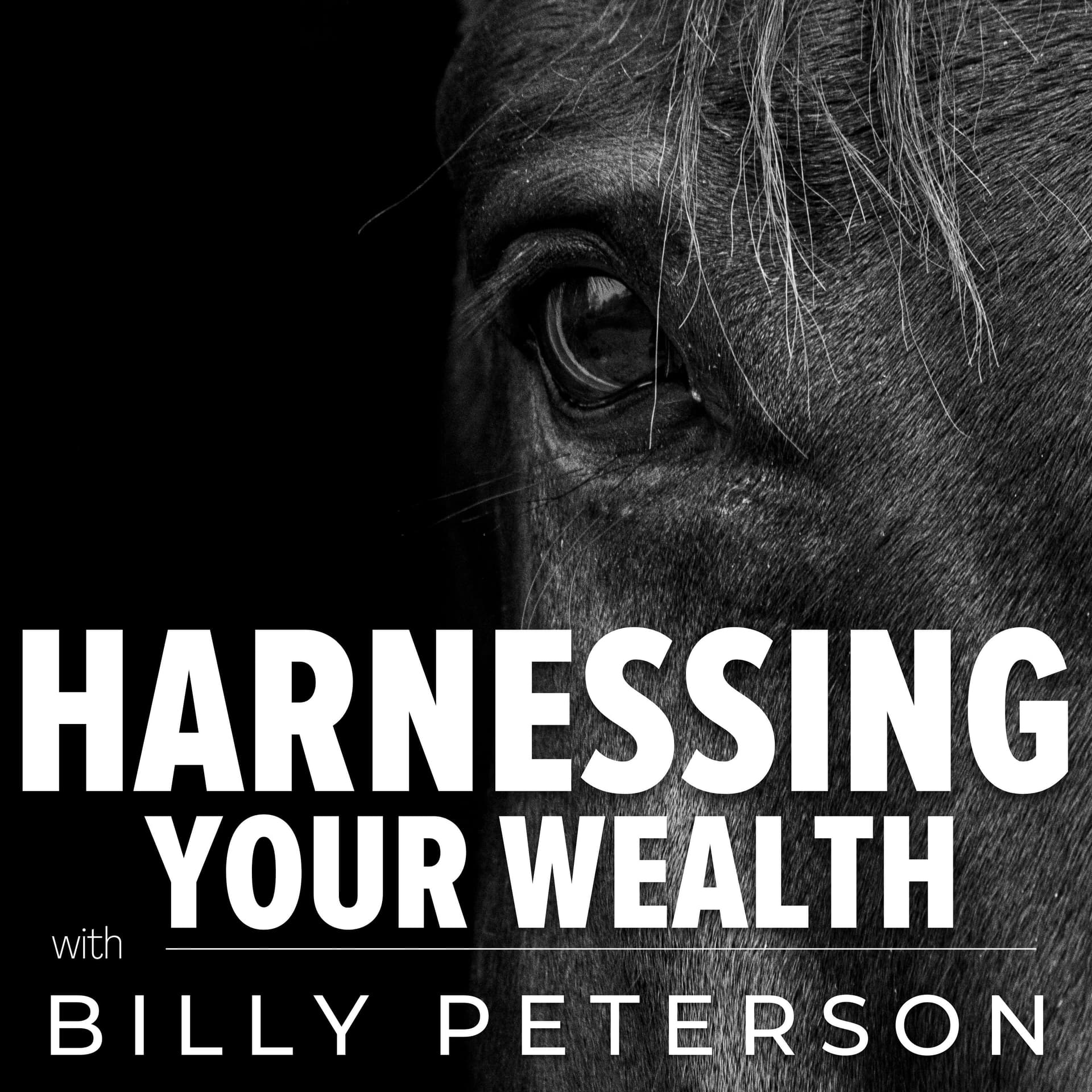 Harnessing Your Wealth with Billy Peterson - Podcasts