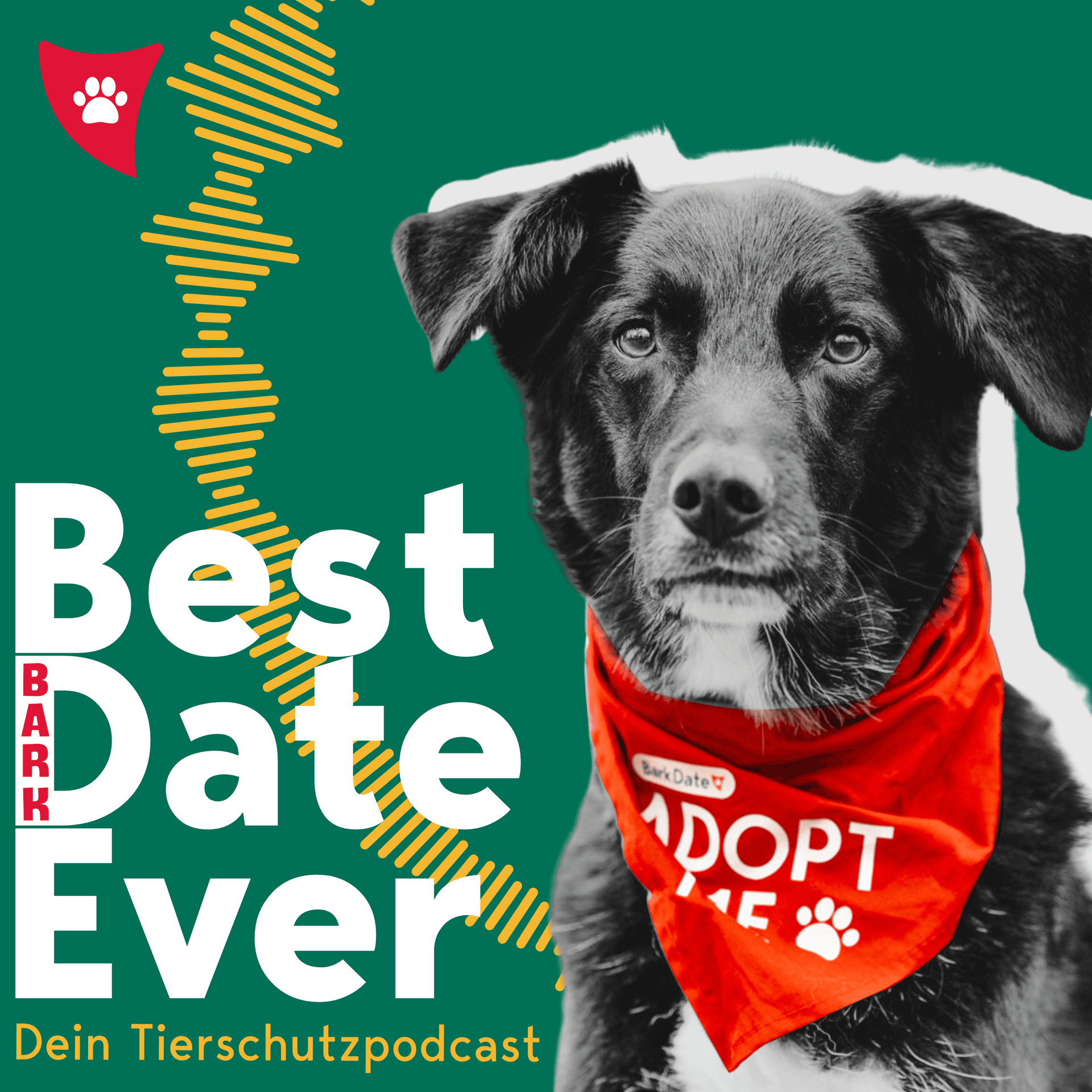 Best (Bark) Date ever! - Podcasts