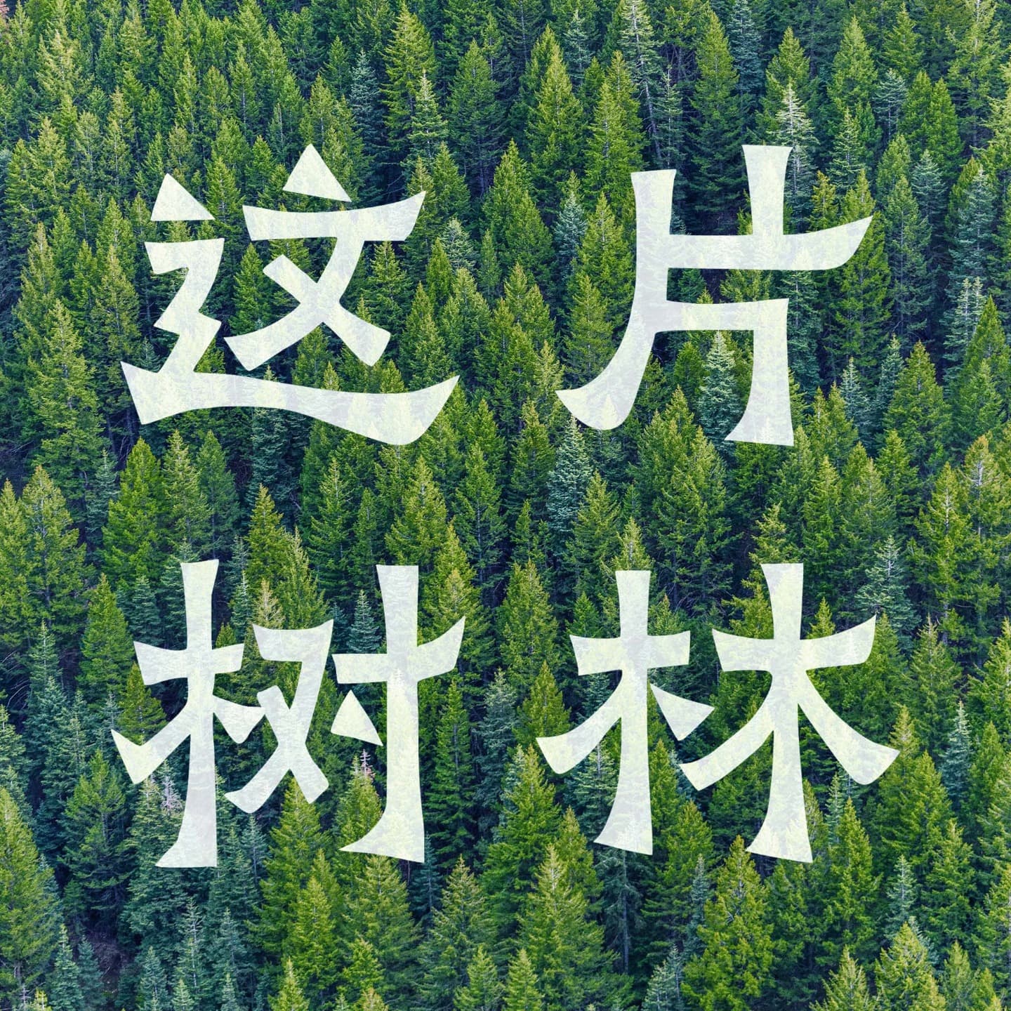 这片树林 - Podcasts