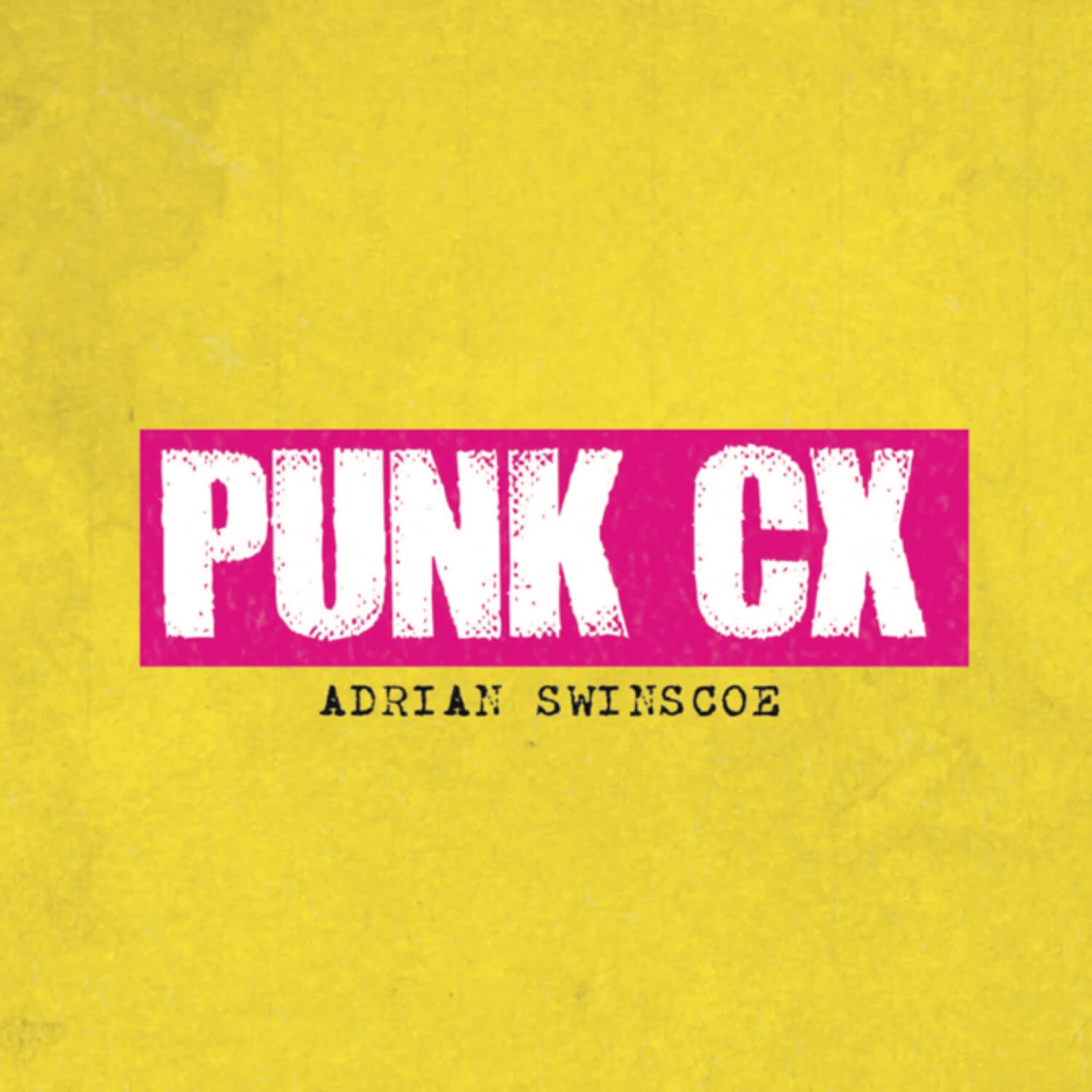 Punk CX: Customer Experience Insights with Adrian Swinscoe - Podcasts