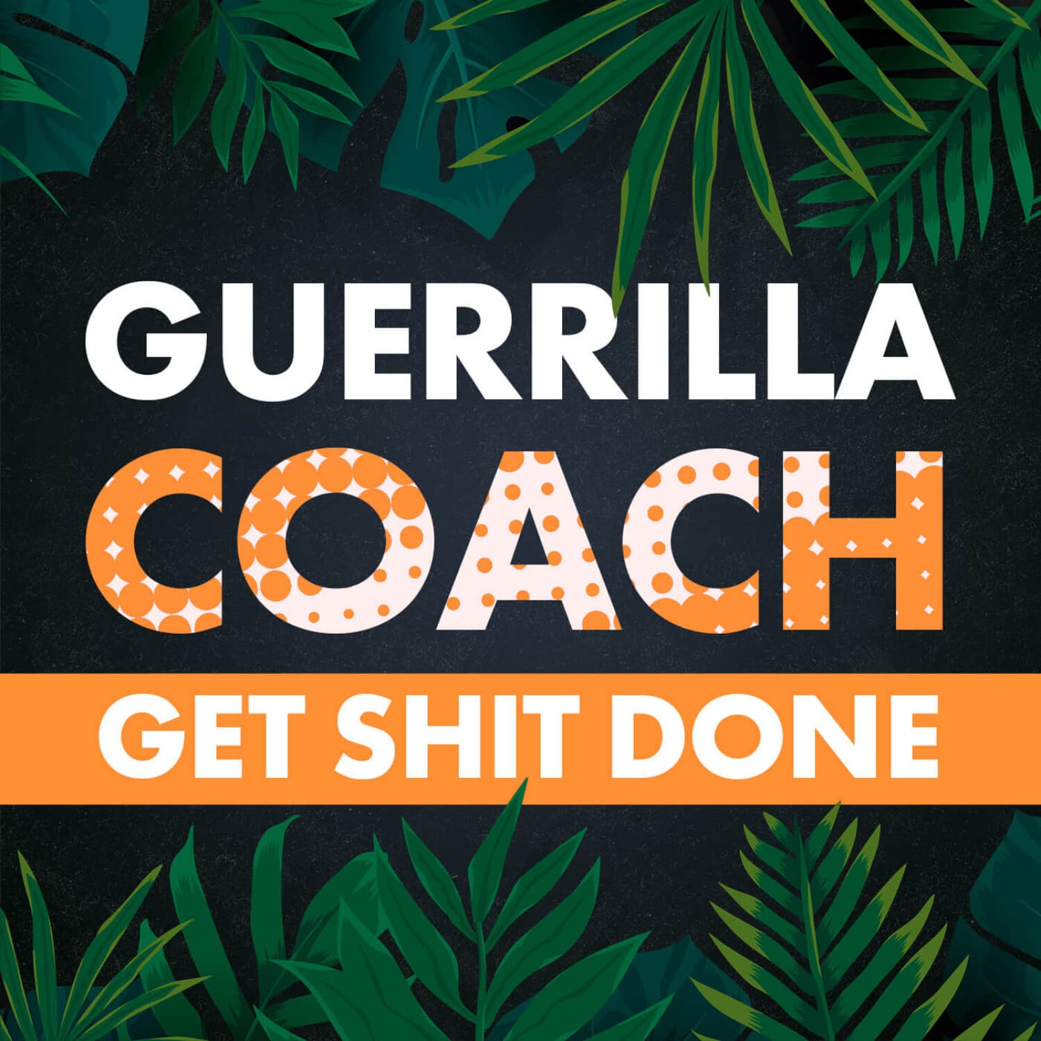 Guerrilla Coach Podcast - Podcasts