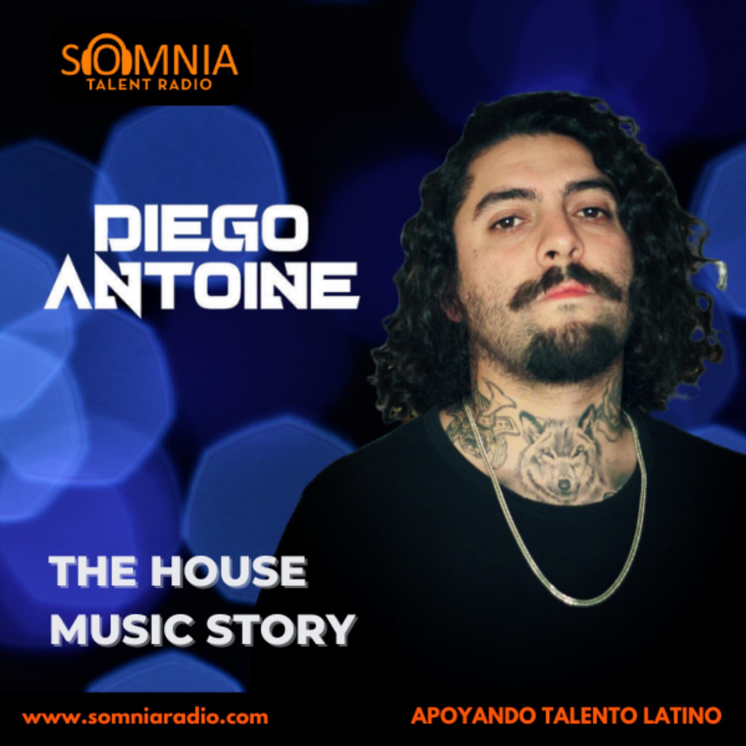 THE HOUSE MUSIC STORY - Podcasts