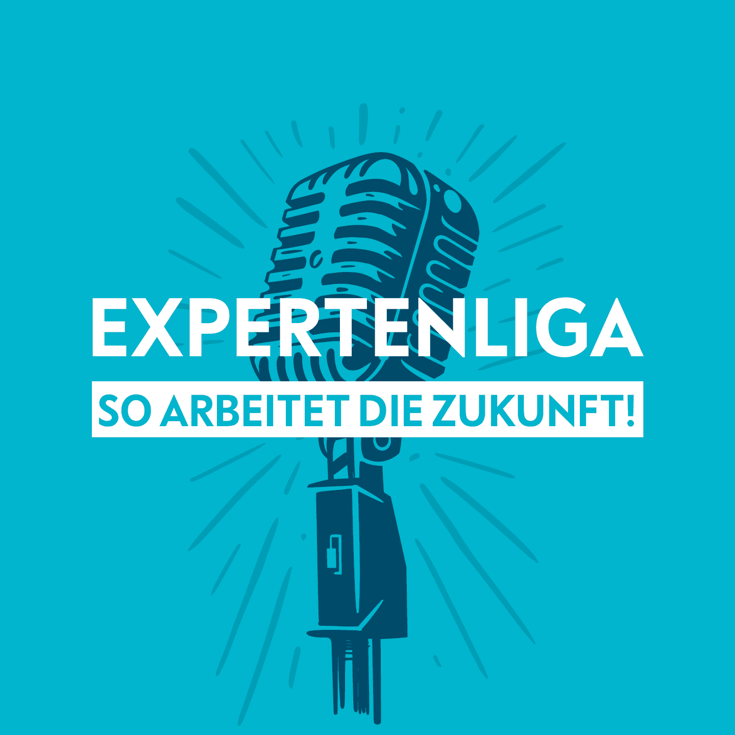 ExpertenLiga - So arbeitet die Zukunft! - Podcasts
