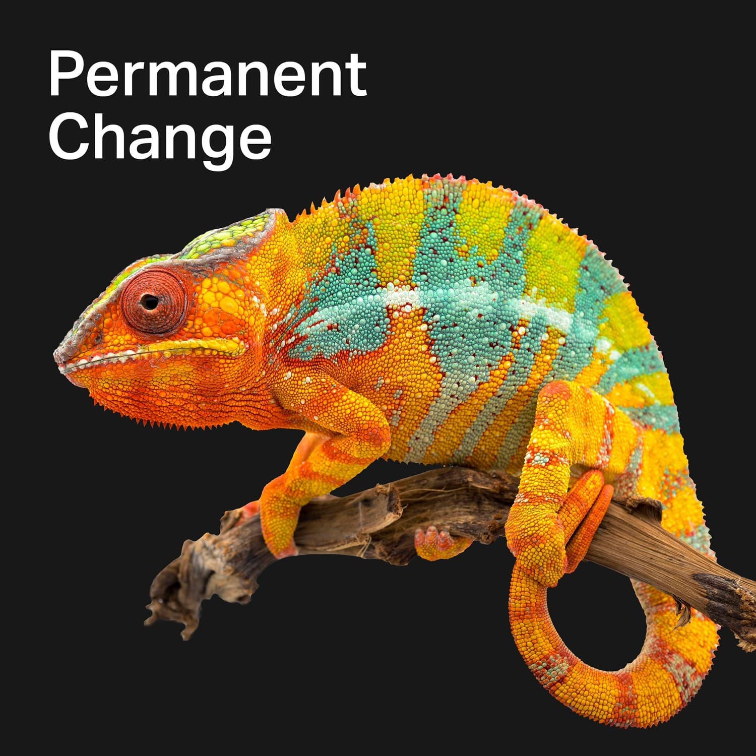 Permanent Change - Selbstbestimmt in die Zukunft - Podcasts
