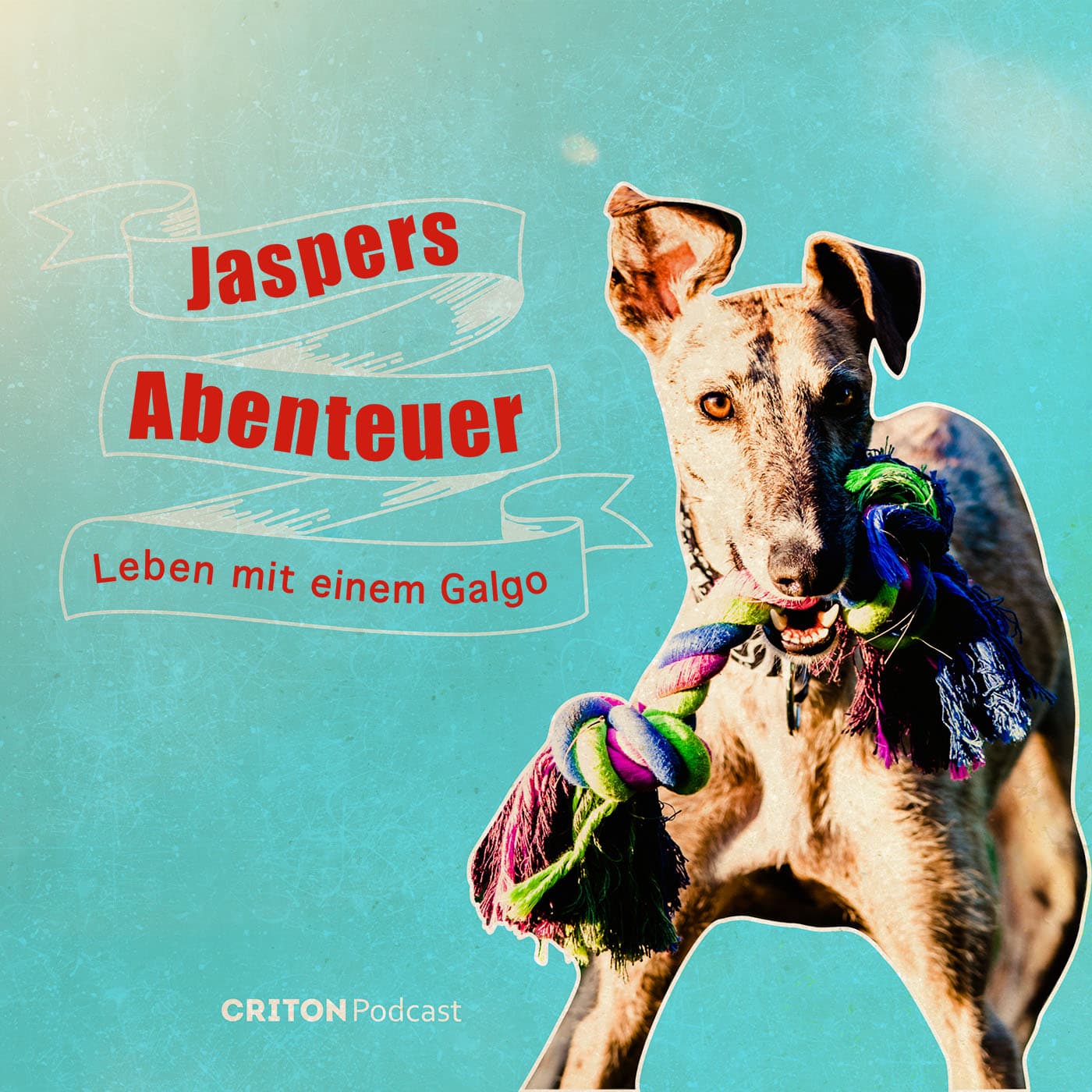 Jaspers Abenteuer - Leben mit einem Galgo - Podcasts