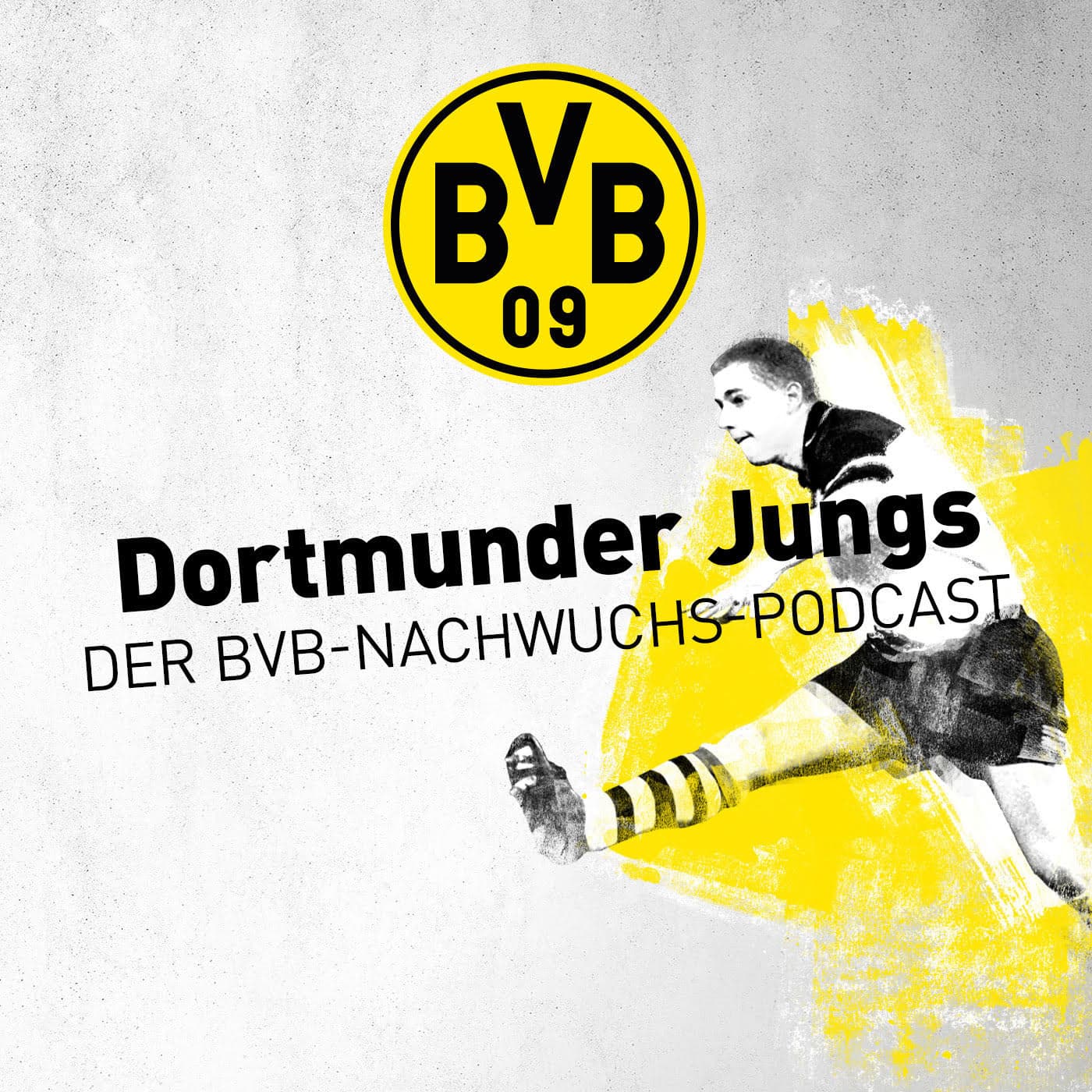Dortmunder Jungs – der BVB Nachwuchspodcast - Podcasts