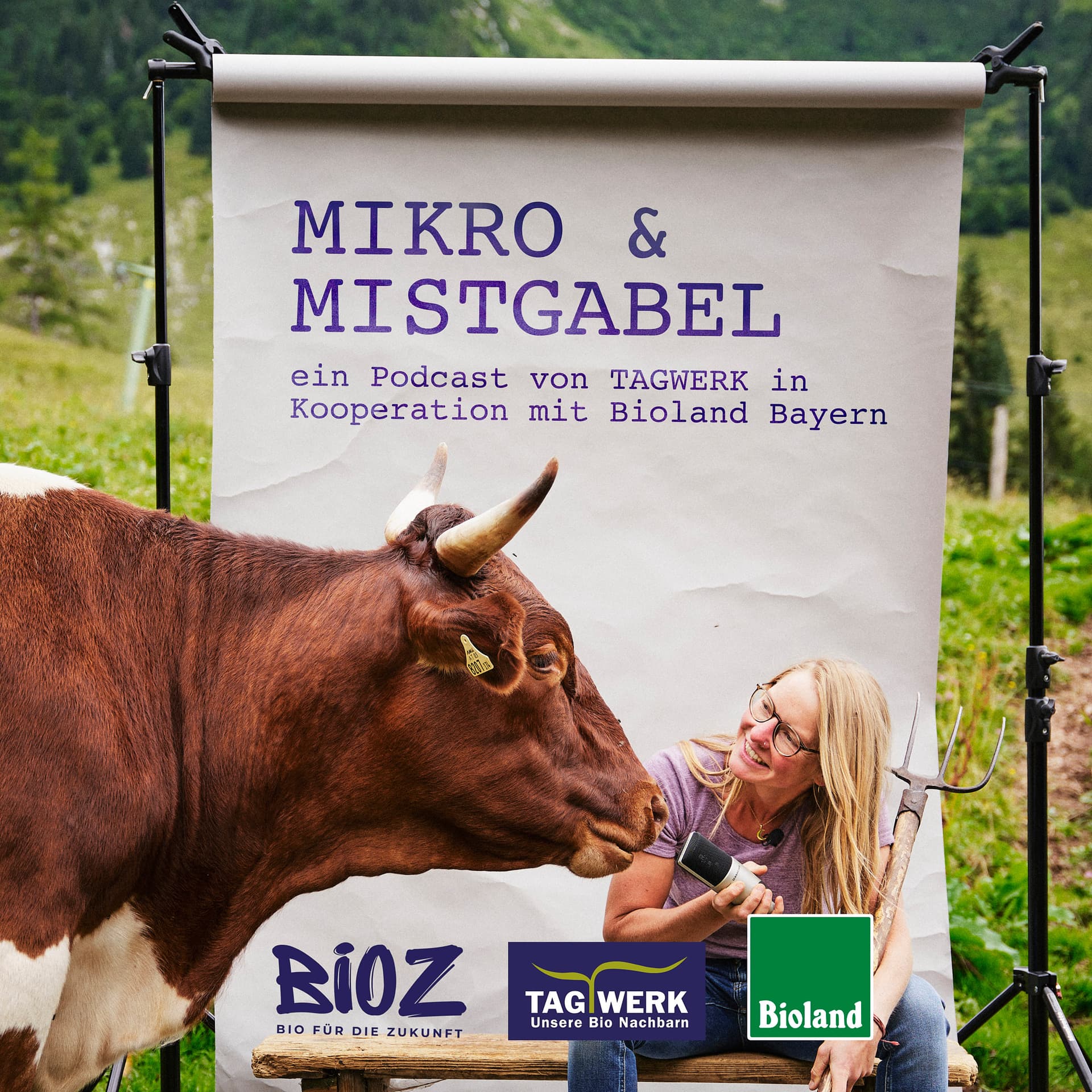 Mikro & Mistgabel - Podcasts