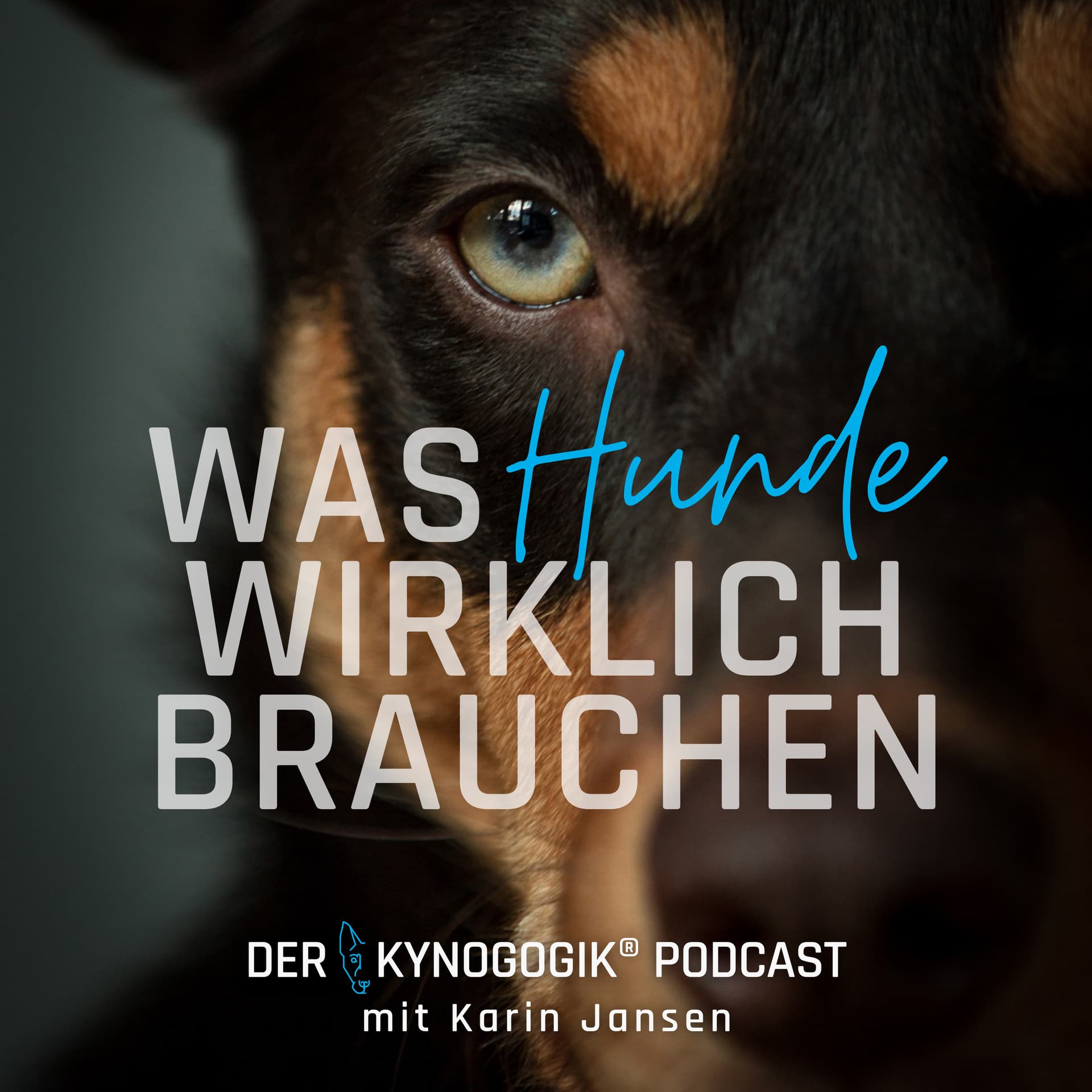 Der Kynogogik® Podcast mit Karin Jansen – Was Hunde wirklich brauchen. - Podcasts