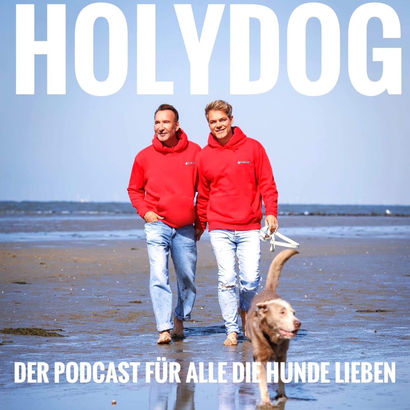 Holydog - Der Hundepodcast mit Jochen Bendel - Podcast
