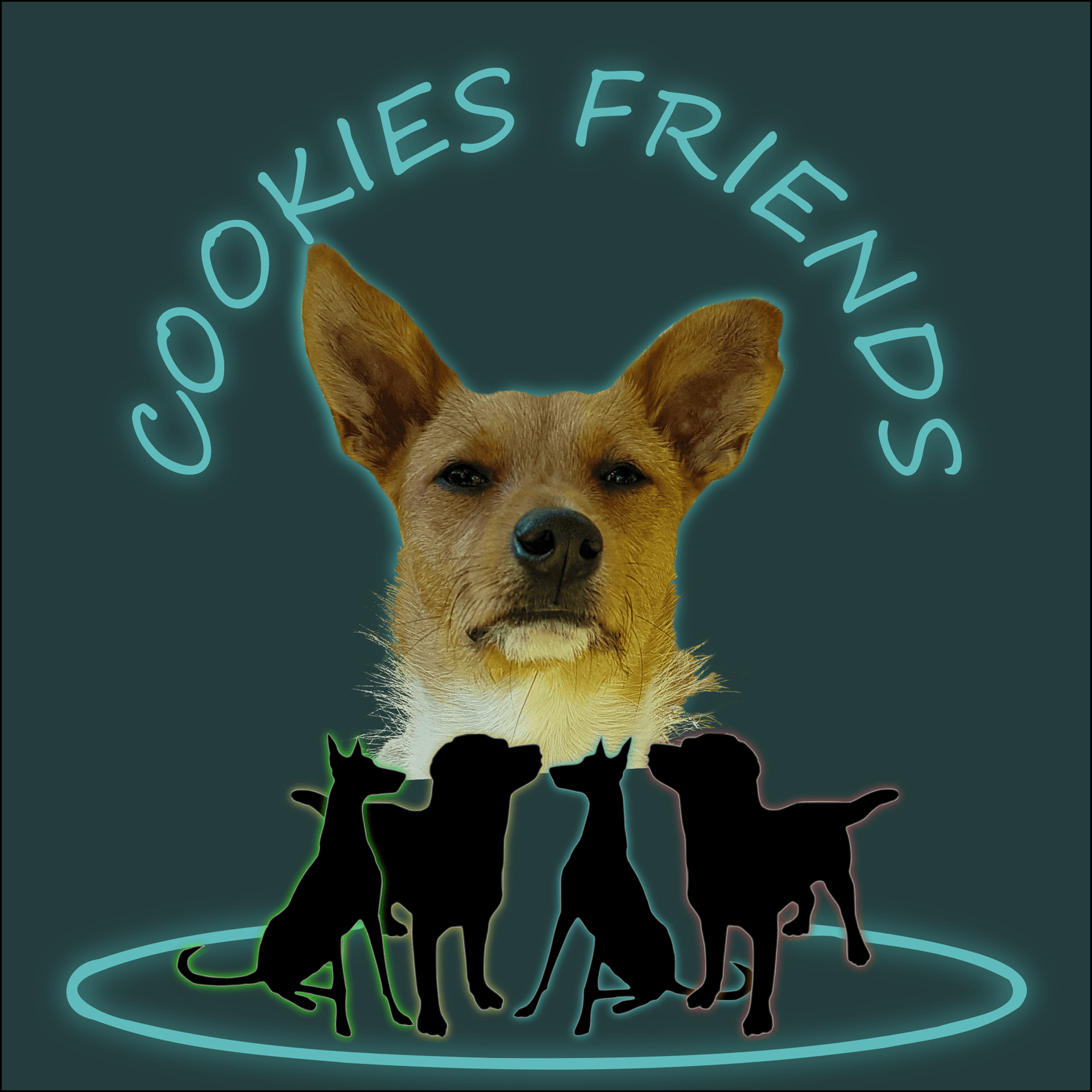 Cookies Friends. Der Podcast für Tierschutz-Hunde - Podcast