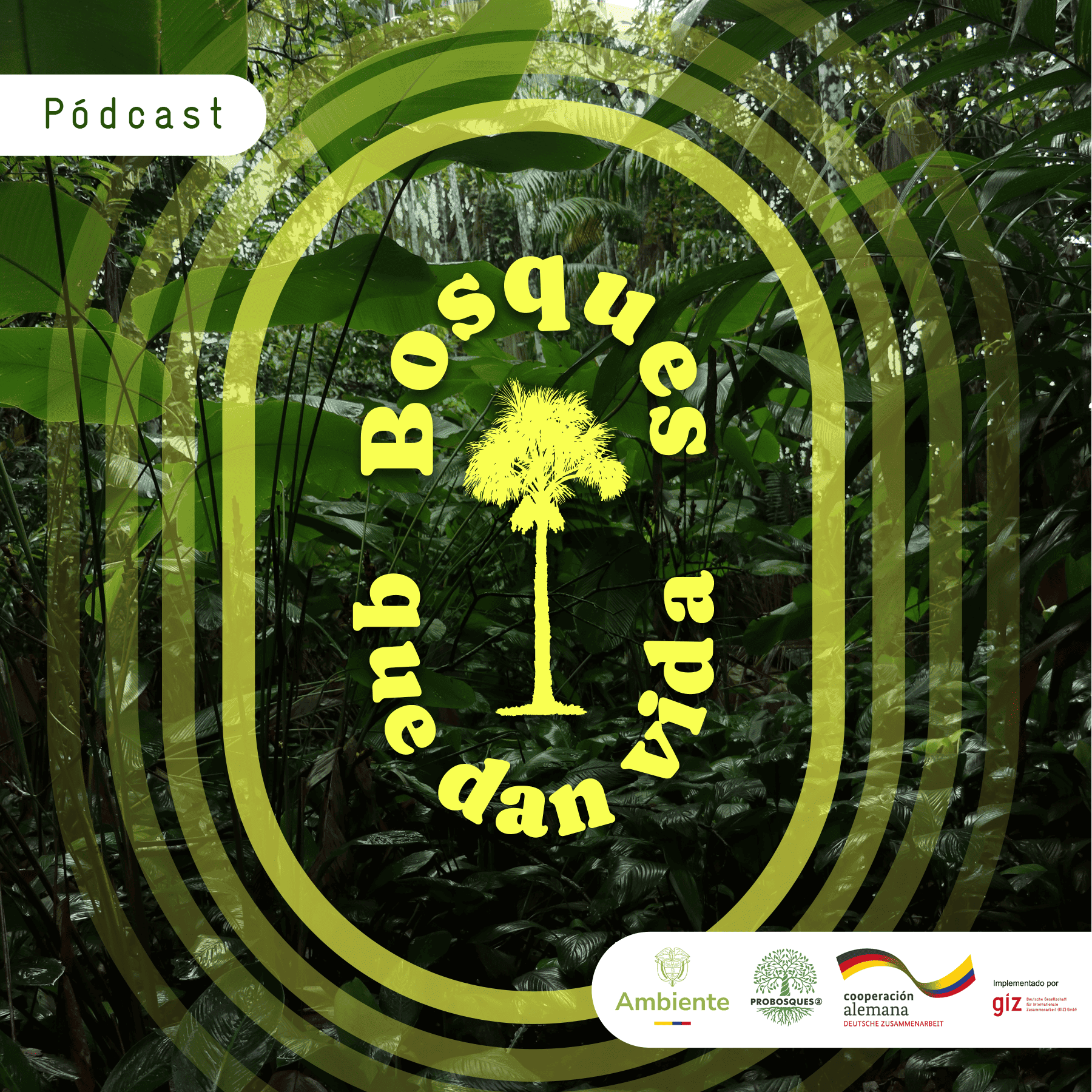 BOSQUES QUE DAN VIDA - Podcasts