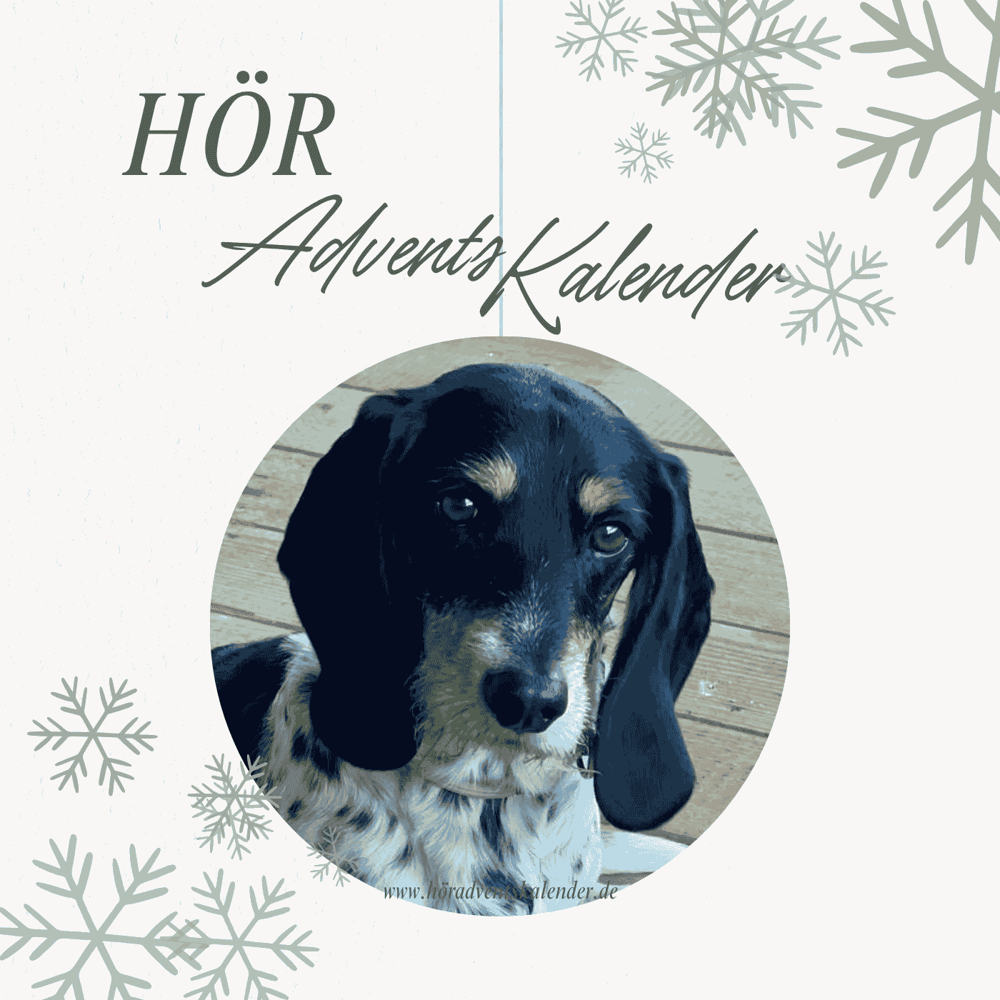 Feli Abenteuer - Ein Adventskalender zum Hören - Podcasts
