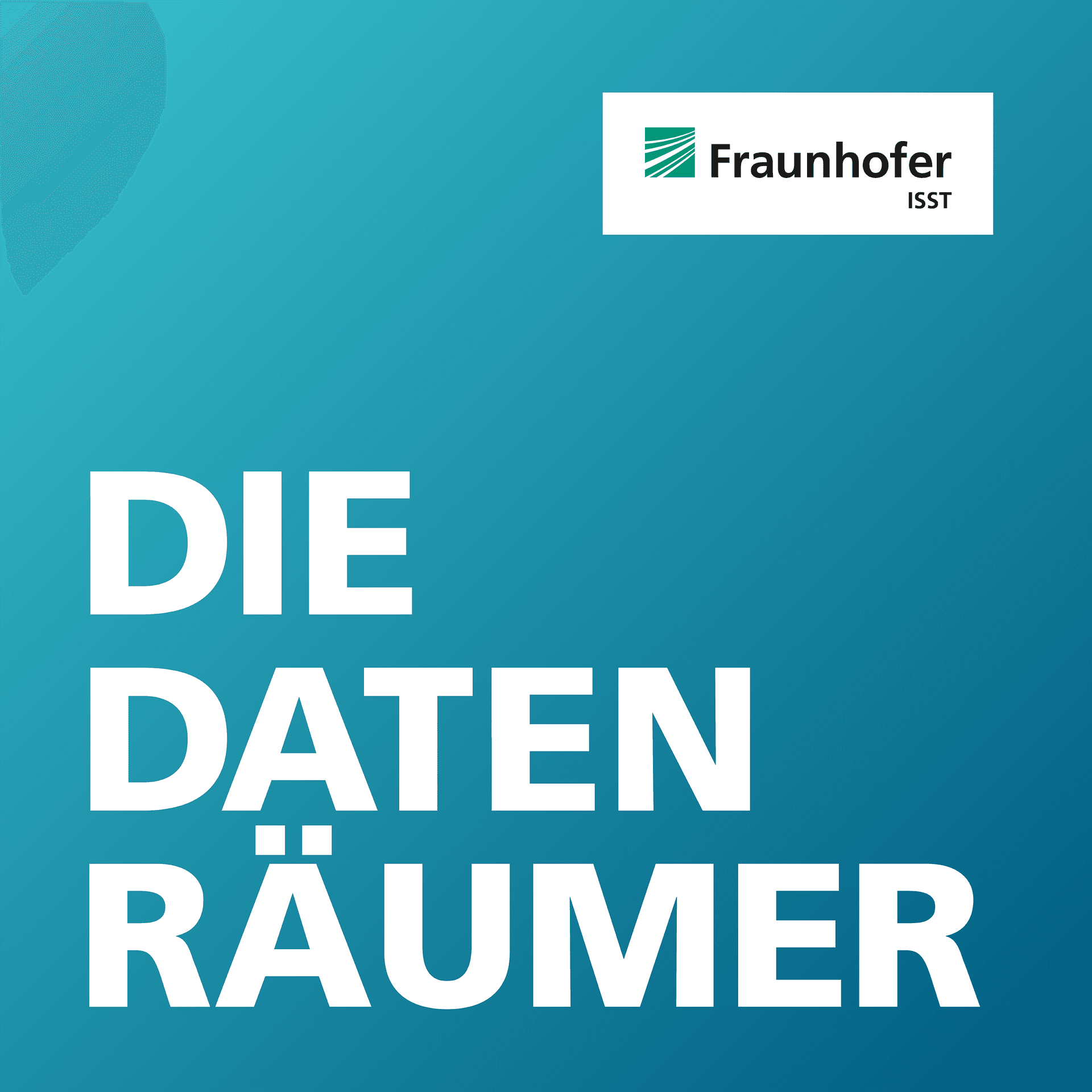 Die Datenräumer - Podcasts