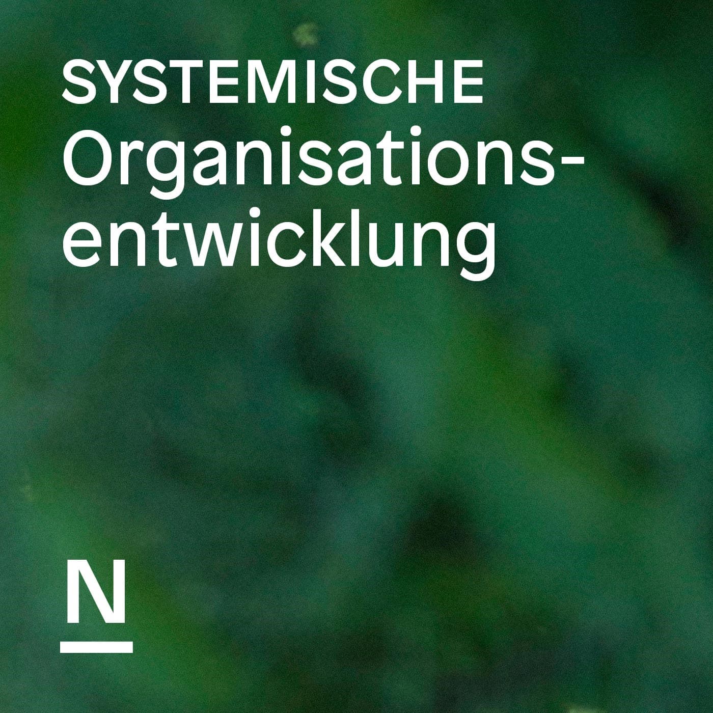 Systemische Organisationsentwicklung – Der Podcast der Beratergruppe Neuwaldegg - Podcasts