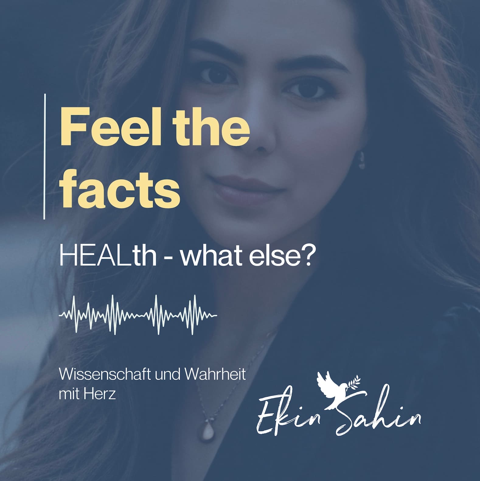 Feel the facts - Podcasts