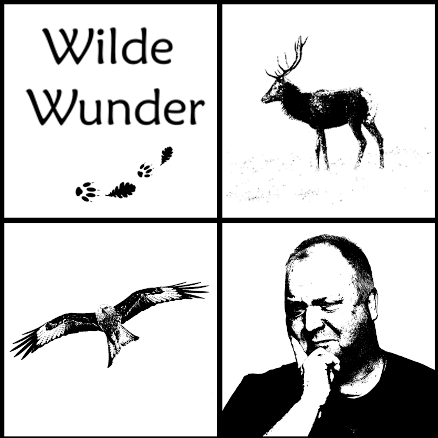 Wilde Wunder - Podcasts