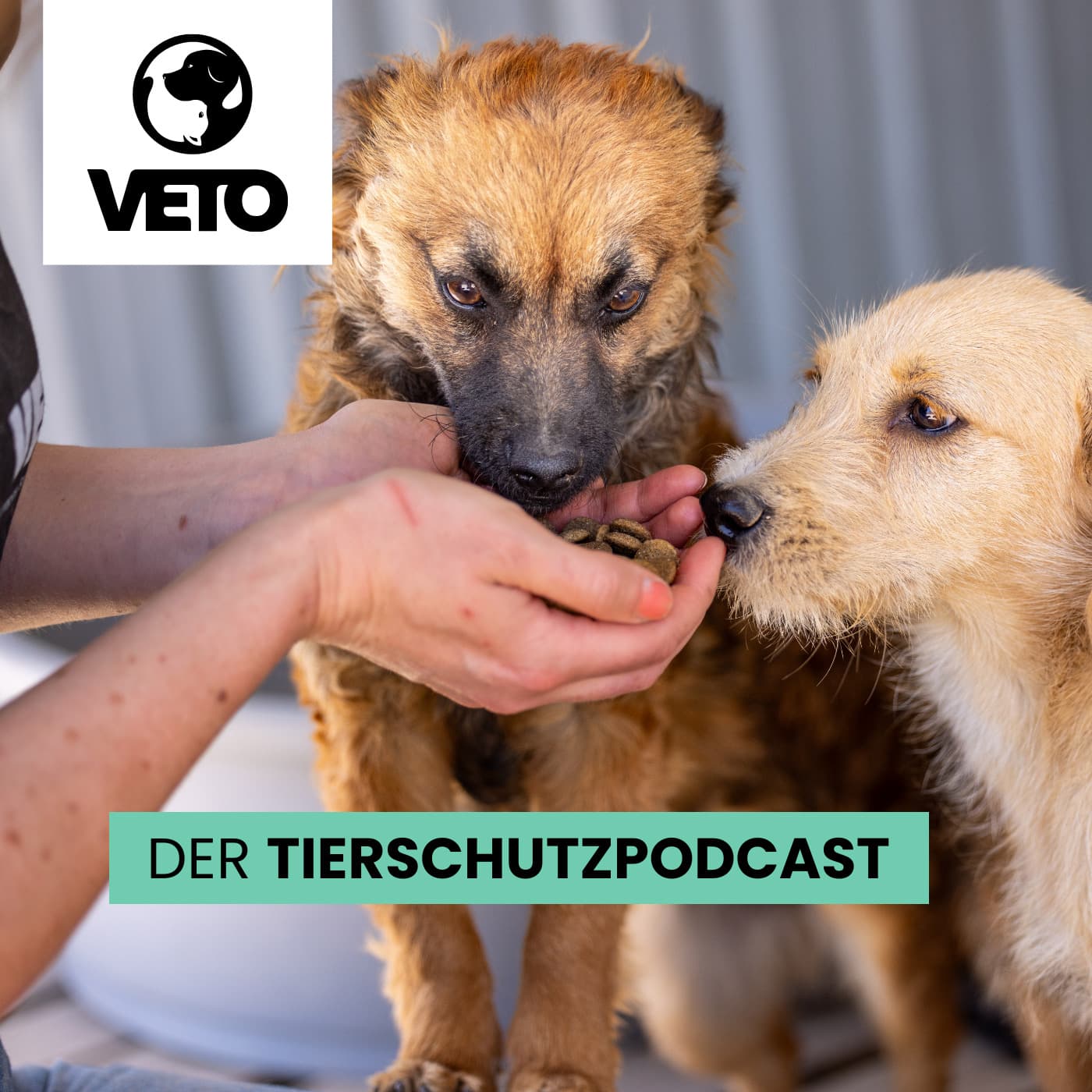VETO - Der Tierschutz-Podcast - Podcasts