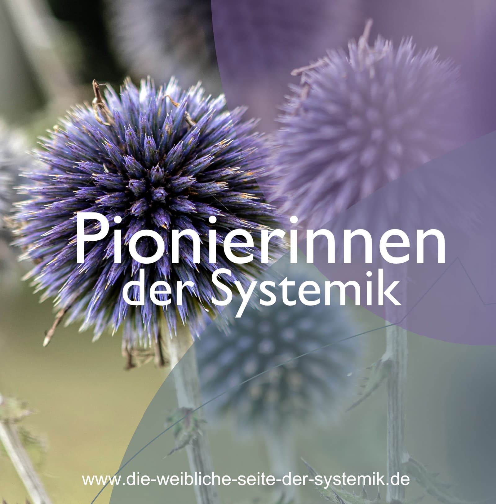 Pionierinnen der Systemik - Podcasts