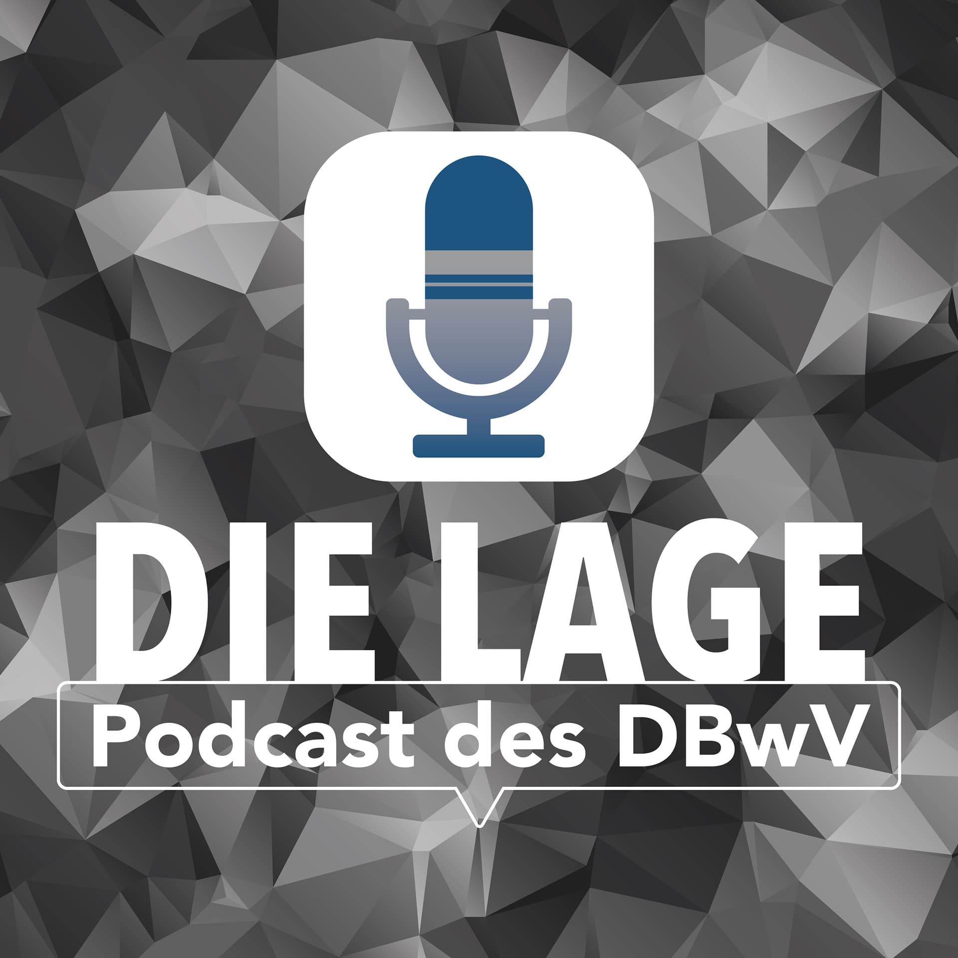 Die Lage-Podcast des Deutschen BundeswehrVerbandes - Podcast