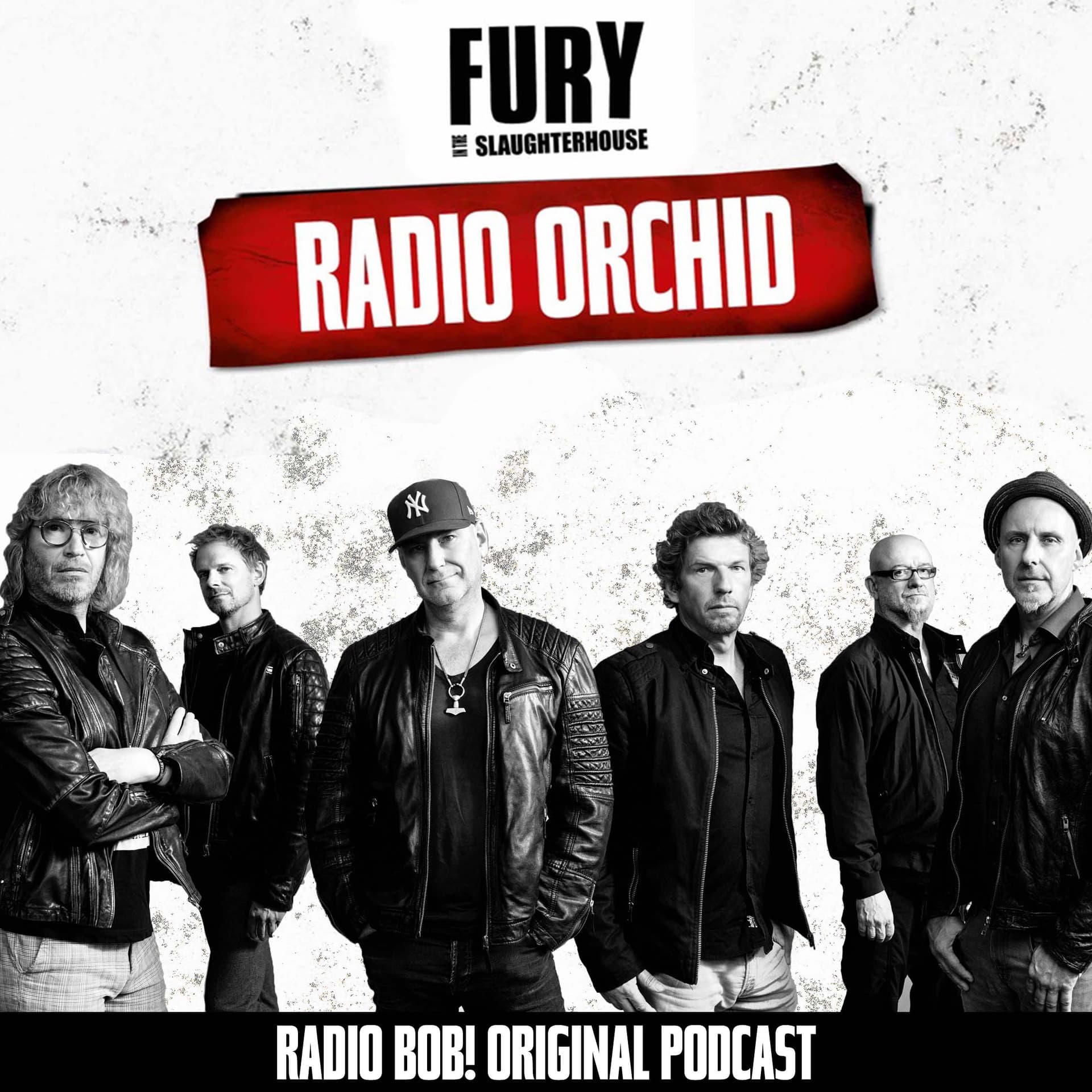 Radio Orchid – der Fury in the Slaughterhouse Podcast bei RADIO BOB! - Podcast